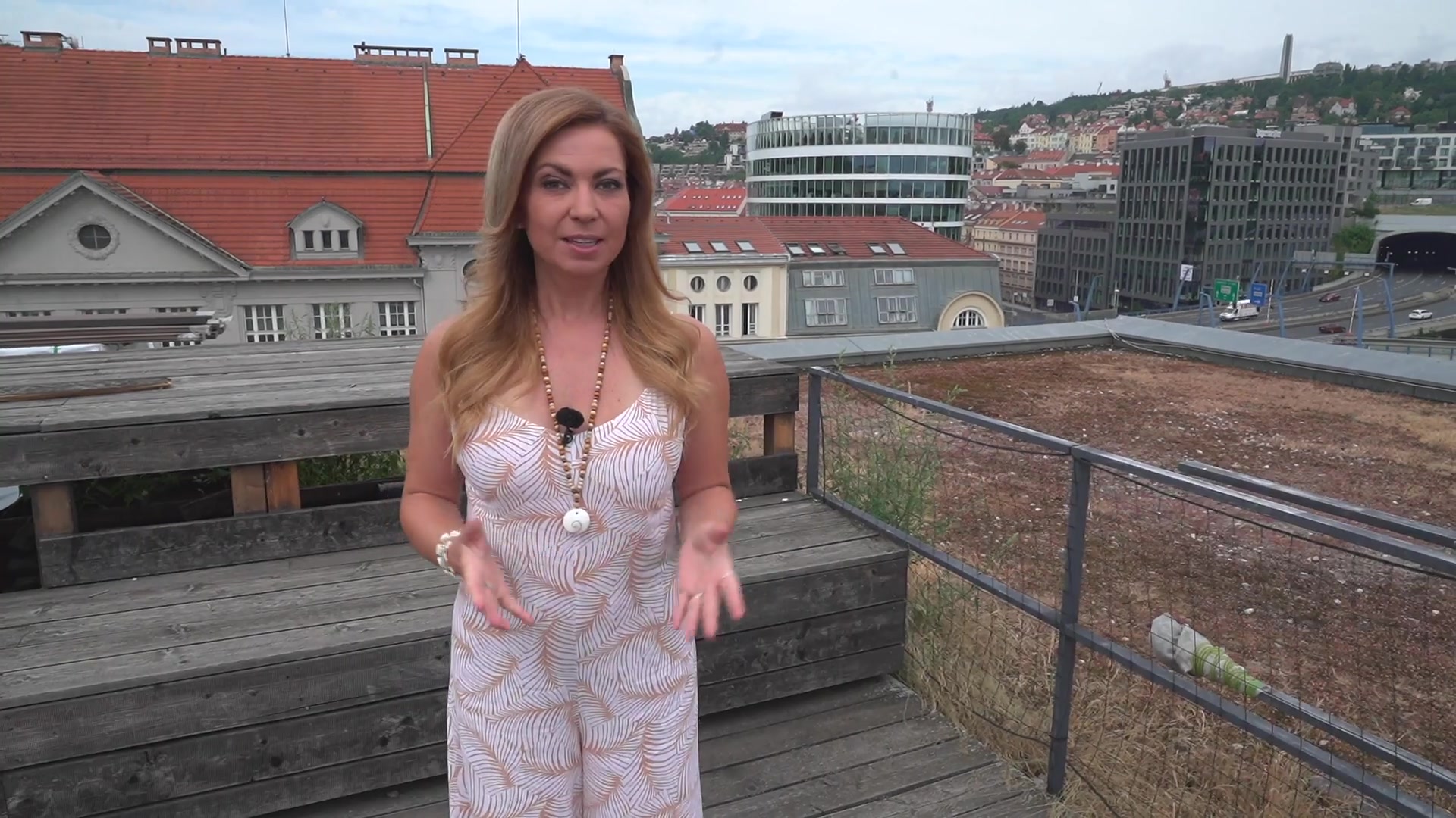 Sreality.cz foto 2 (náhled videa)