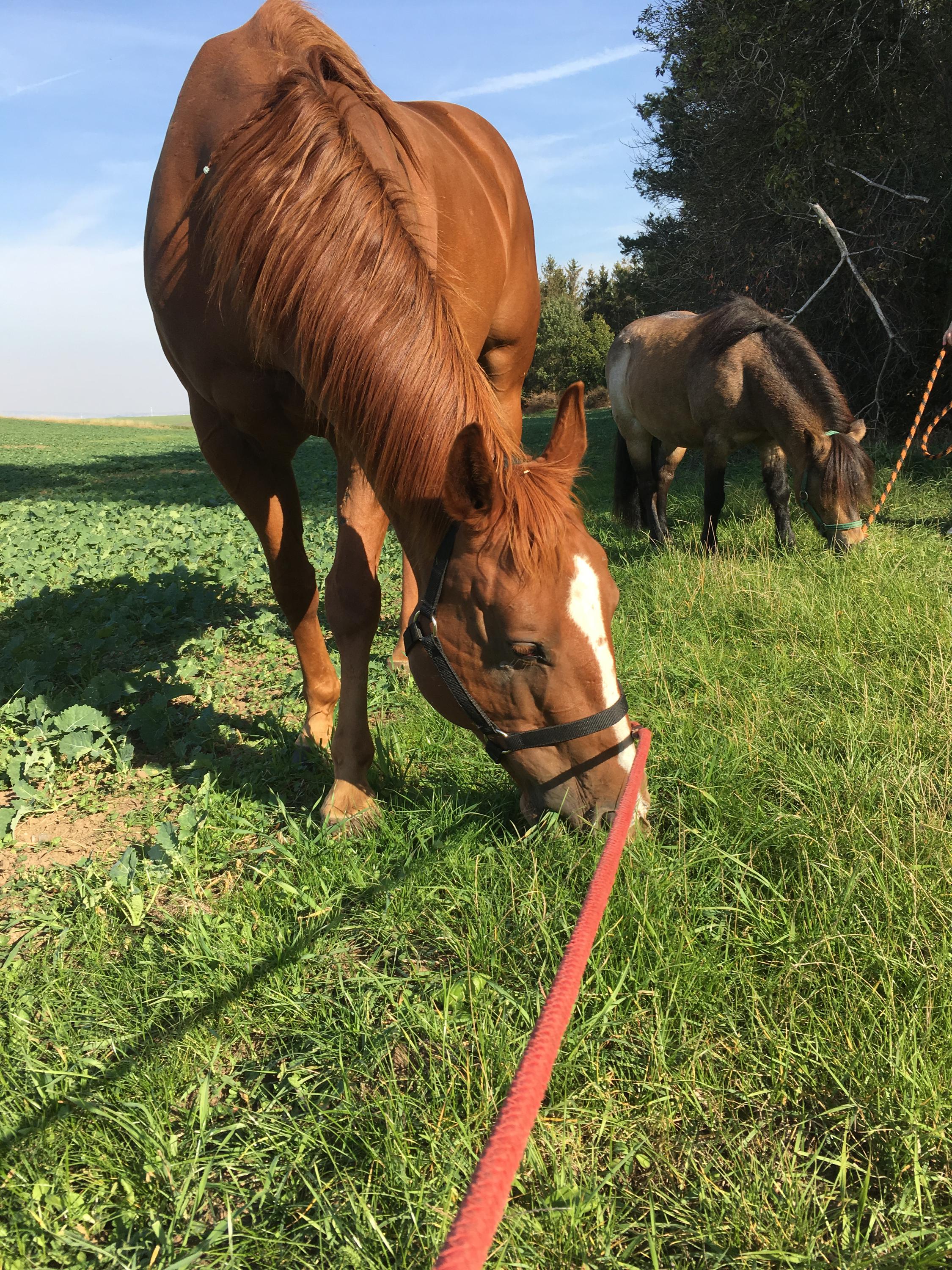 Western Ranch Skalka foto 1