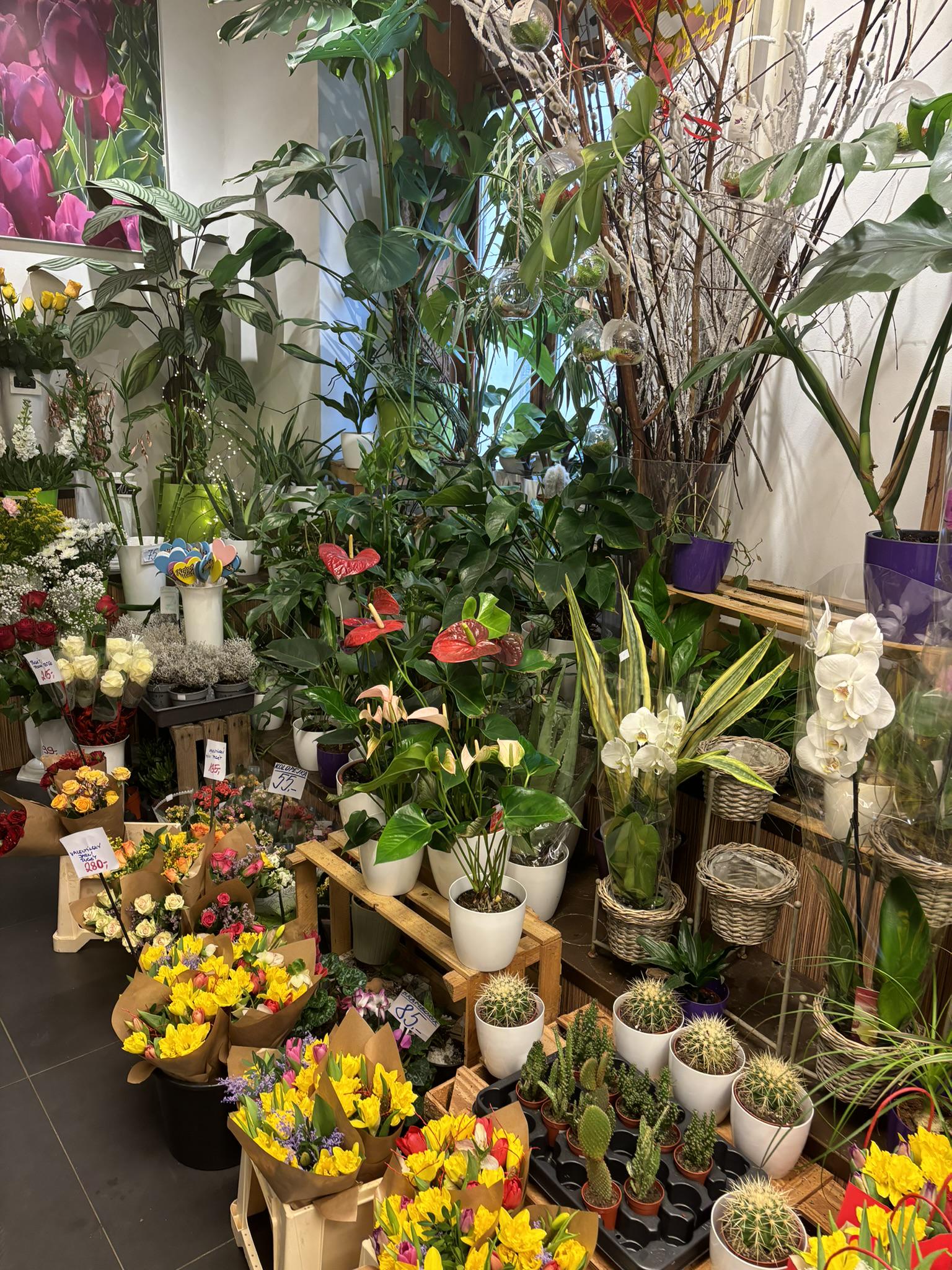 Květinářství kytku.cz foto 2