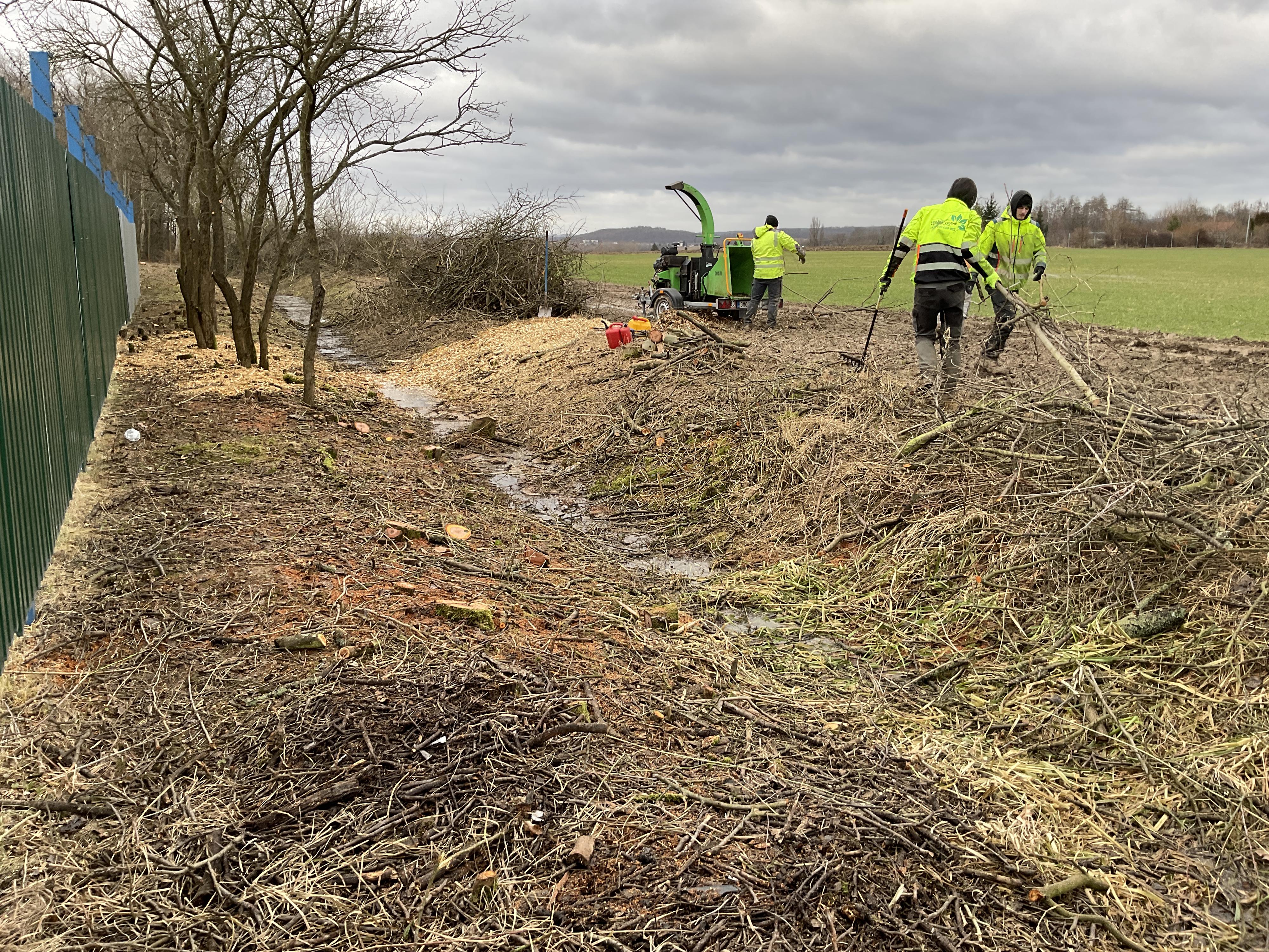 Realizace zahrad - Filip Procházka foto 5