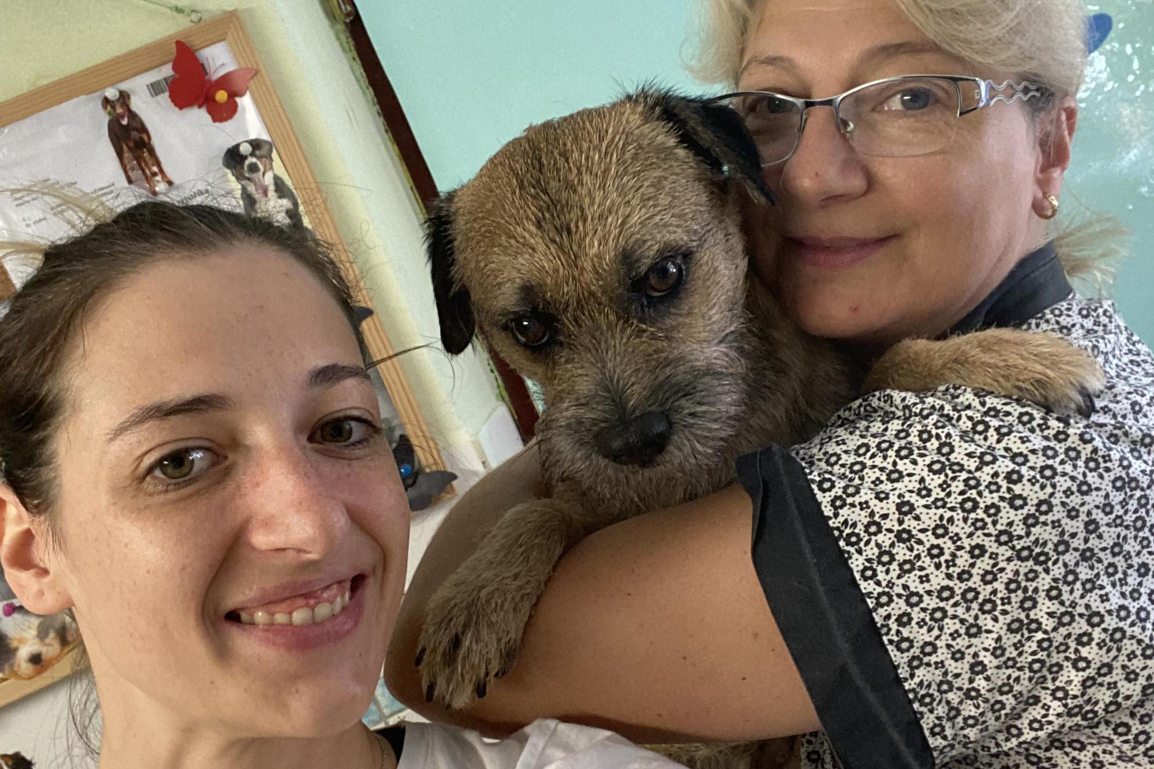 Wellness a salon pro psy DogFamily - Jitka Kropáčková a Jana Římanová