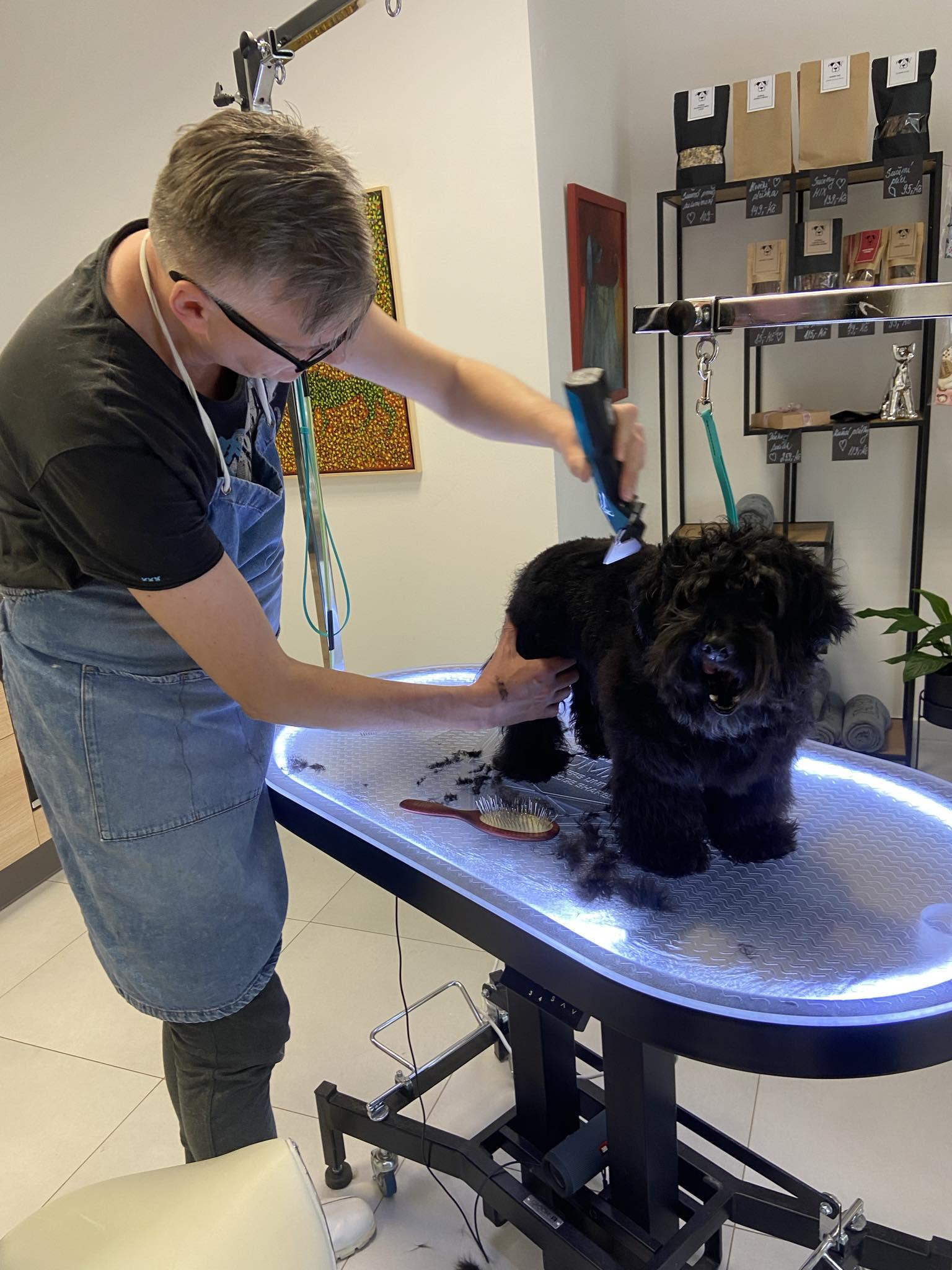 Adina - psí salon a wellness foto 6