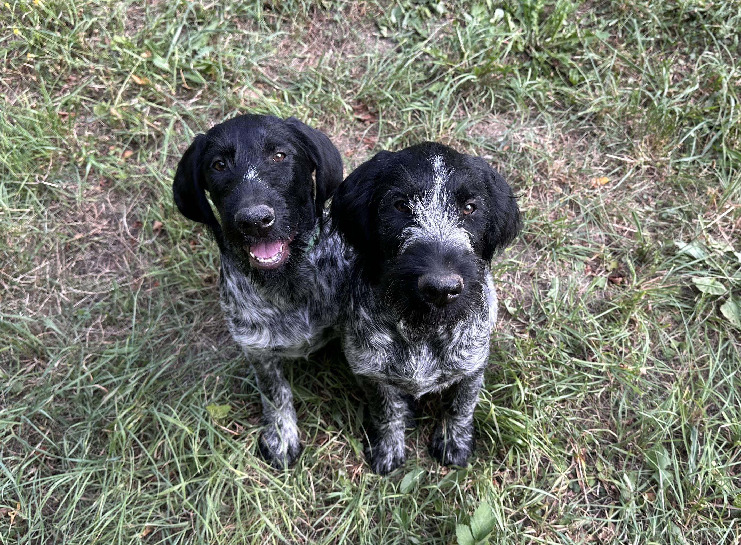 Ing. Zuzana Čechová foto 2