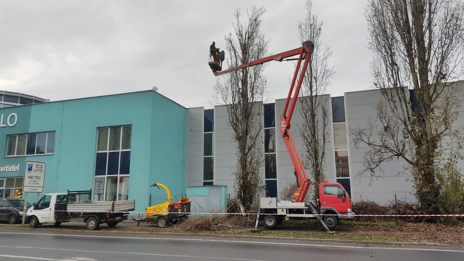 ARBEX - Prořezy a rizikové kácení stromů foto 3