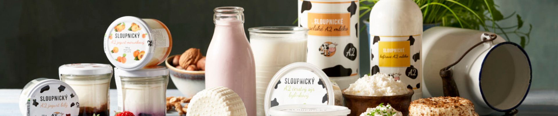 Cover image Zemědělské družstvo Sloupnice - minimlékárna