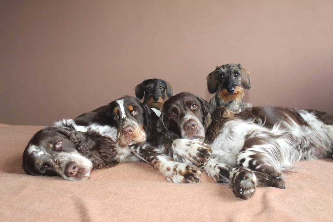 Lenka Suchá - Chovatelská stanice