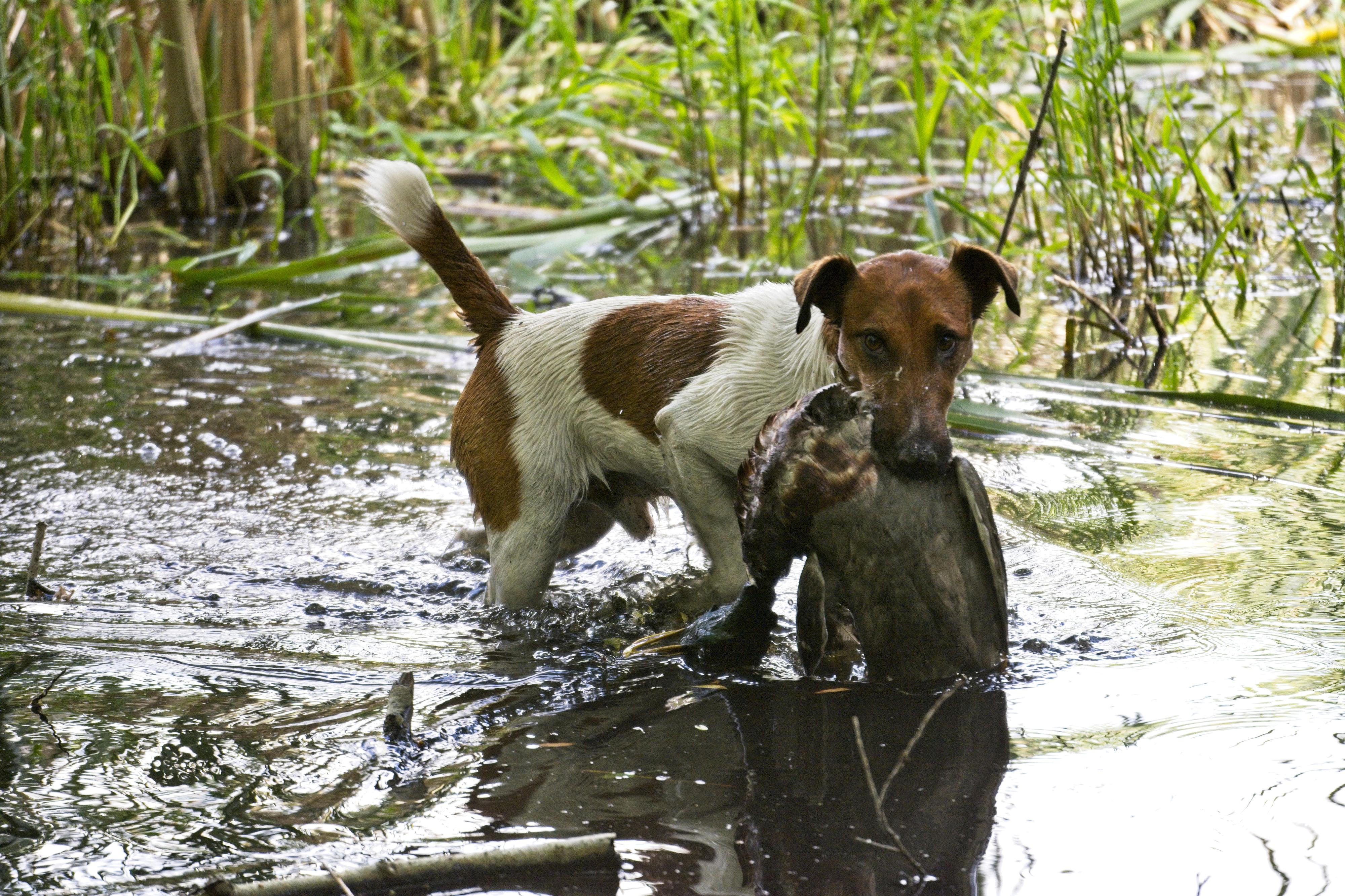 Ing. Zuzana Čechová foto 5