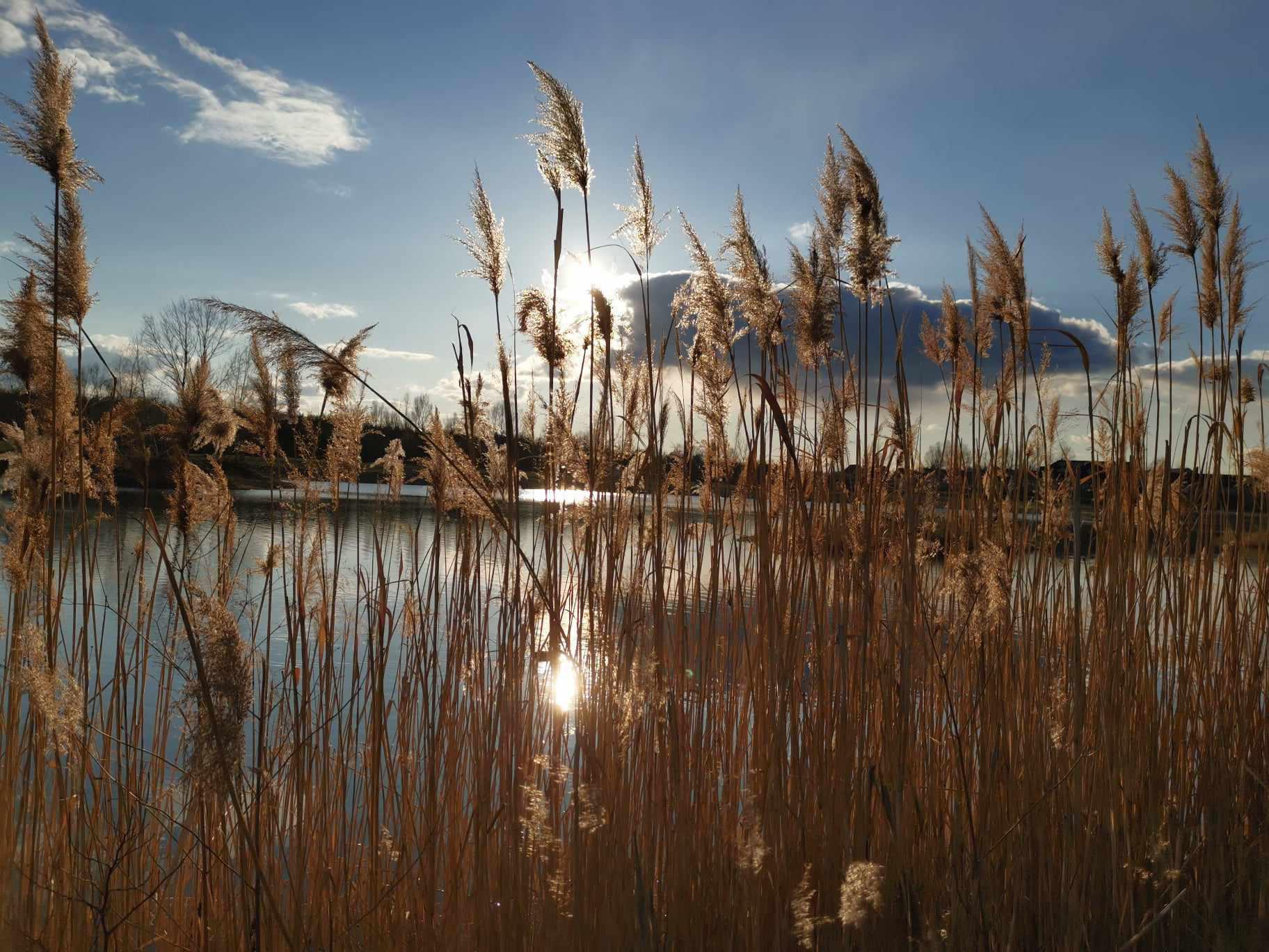 Rekreační areál Jezero Vojkovice foto 2
