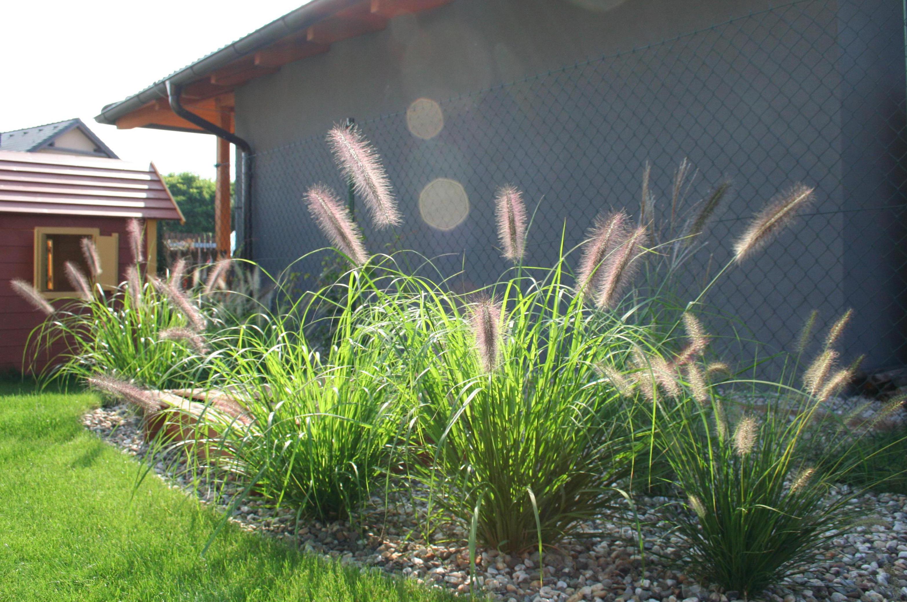 Petrklíč realizace zahrad