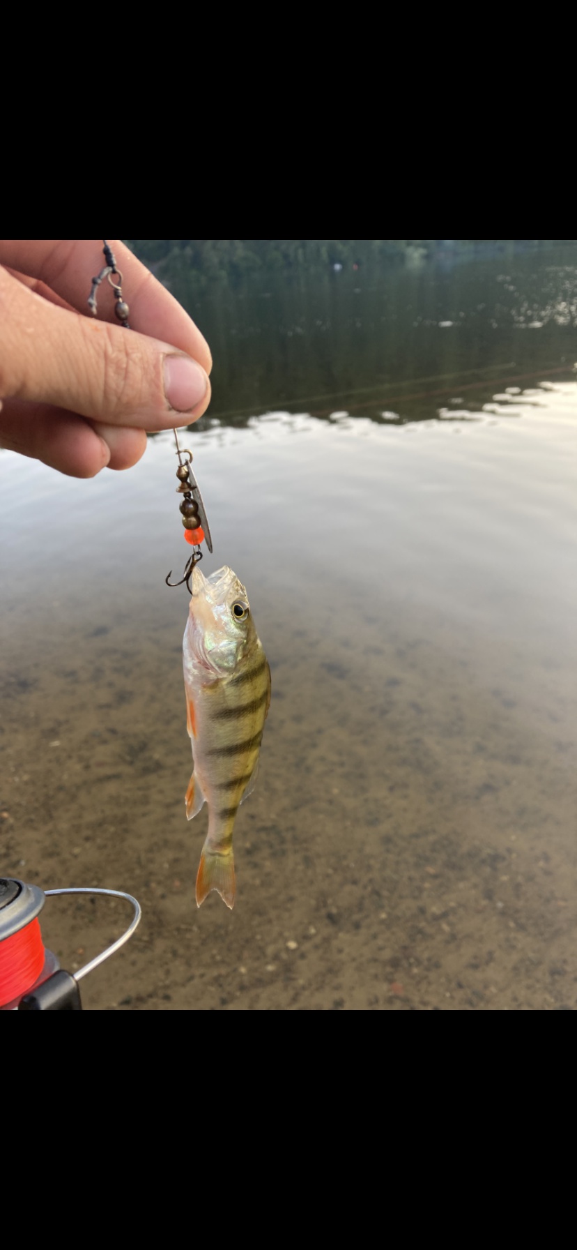 Rekreační středisko Županovice foto 4