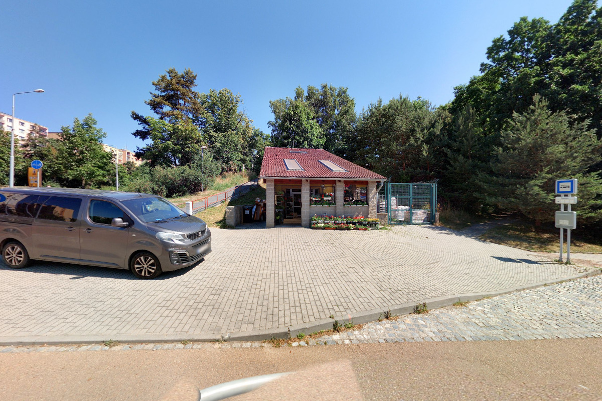 Bolevecké květiny