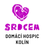 logo Domácí hospic Srdcem