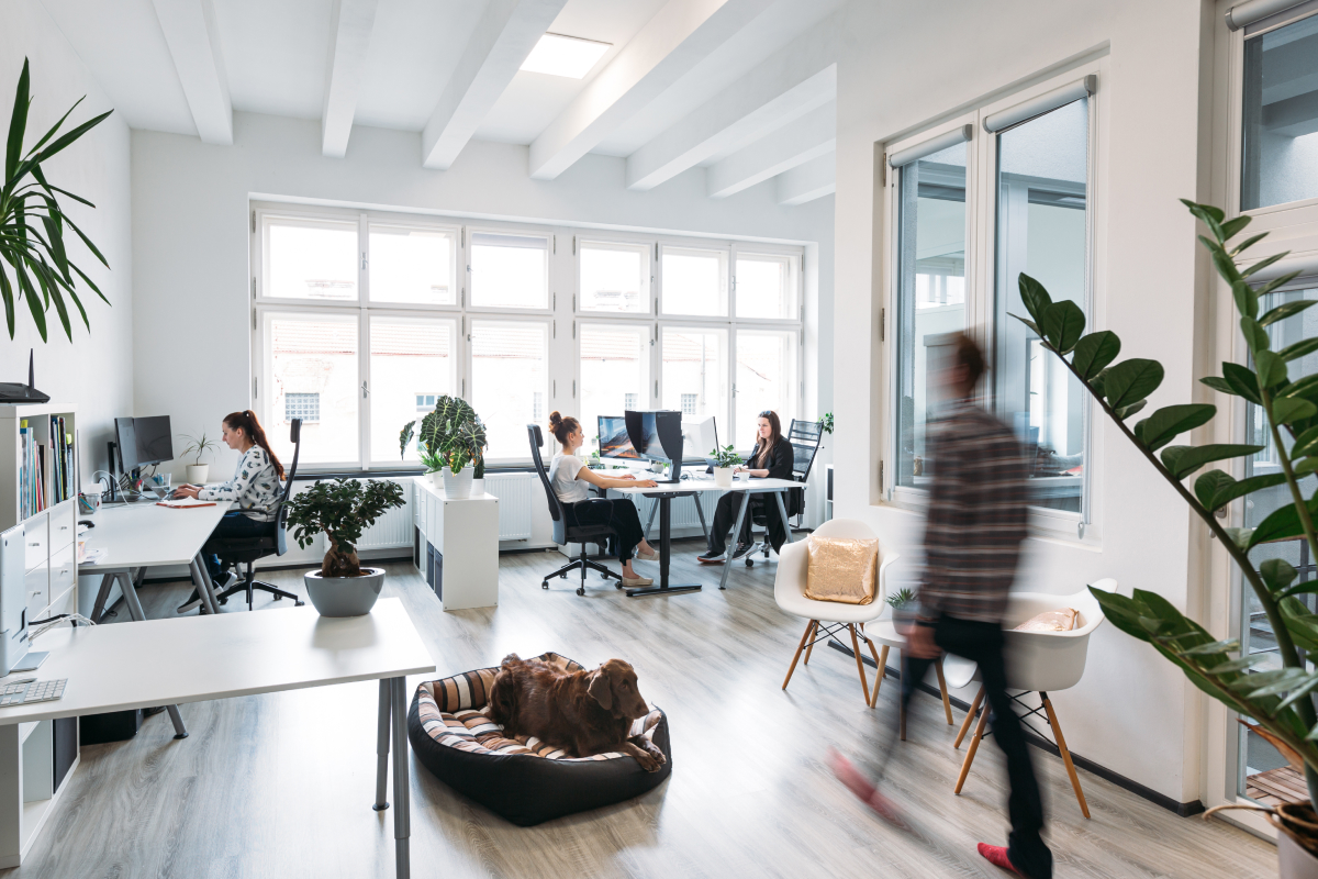 Realness: brandinová kreativní agentura