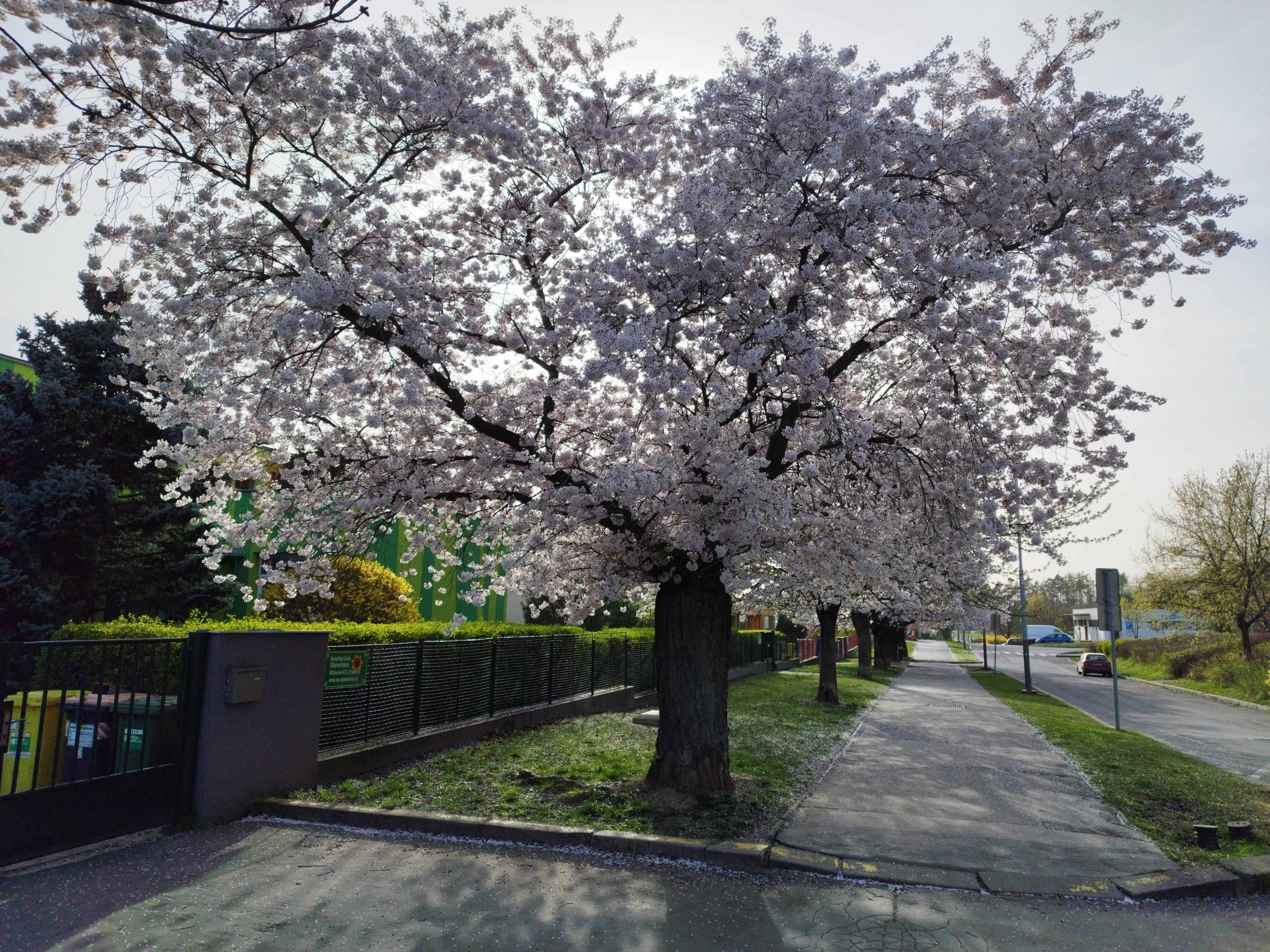 MŠ Slunečnice, Praha 10 foto 3