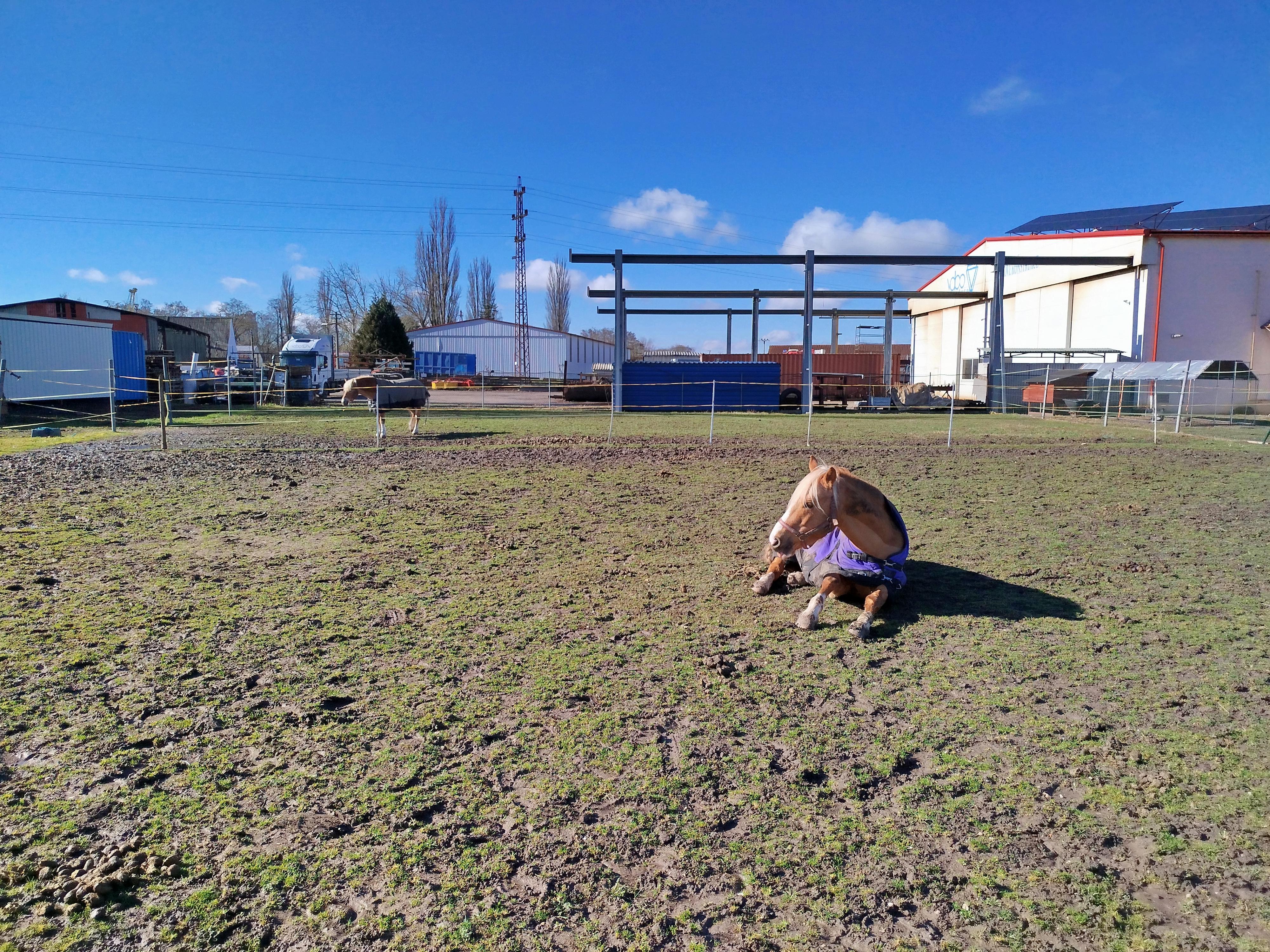 JEZDECKÝ KLUB FLAMENCO SLOUPNO foto 4