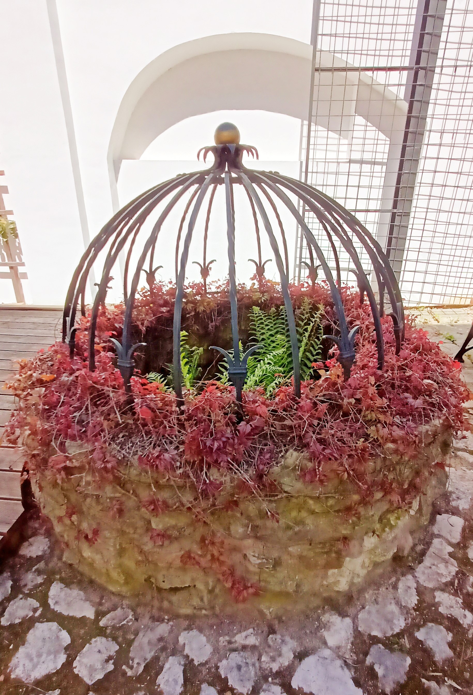 Městské muzeum a galerie Hustopeče foto 4