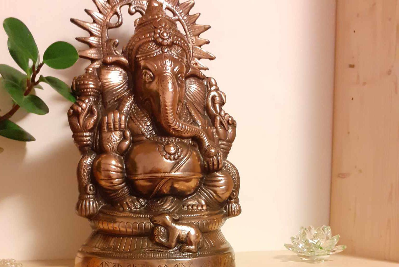 Marcela Cacková, DiS. OM SHAKTI foto 2