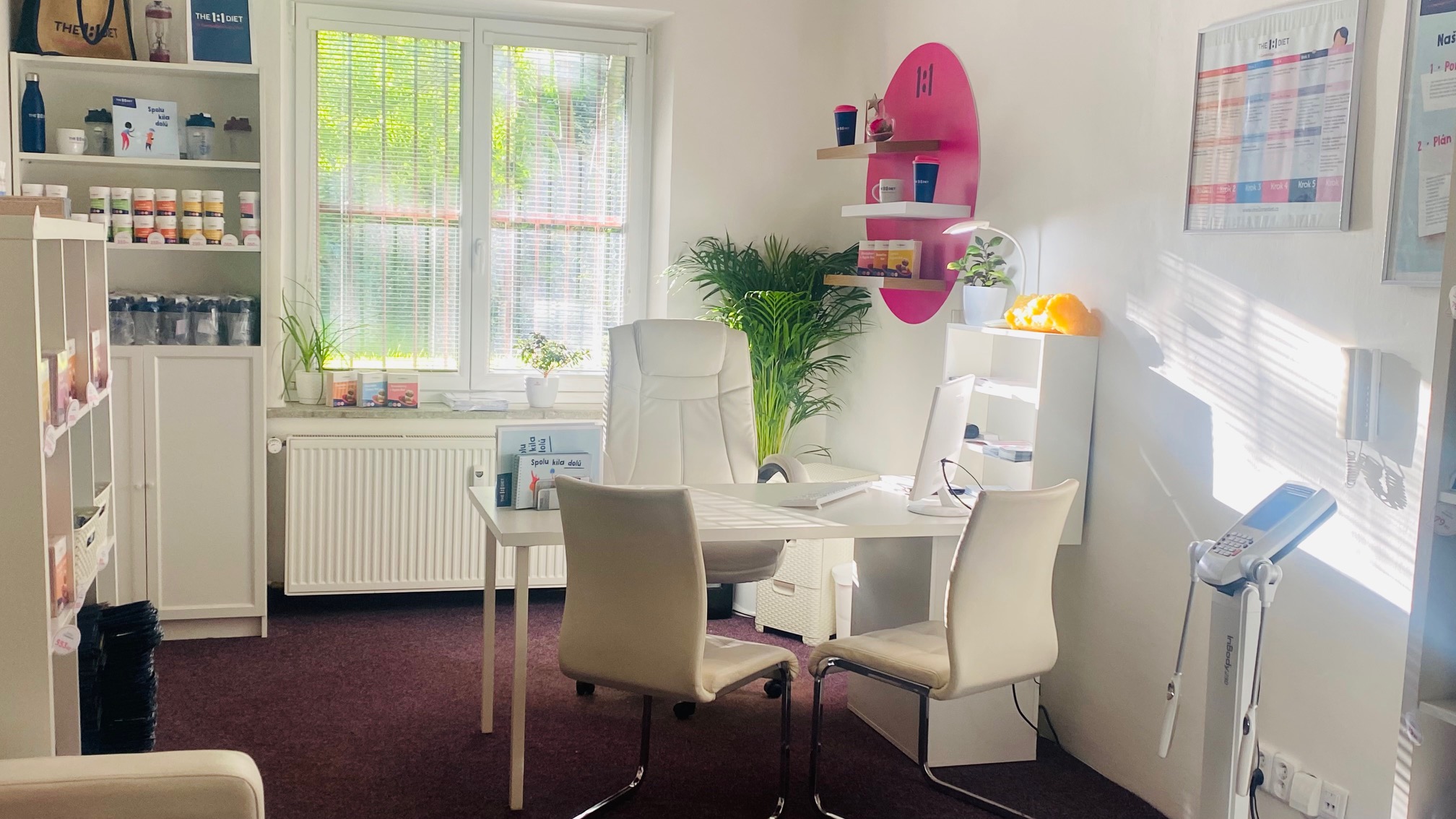 Centrum zdraví, výživy a redukce váhy a poradna The 1:1 Diet foto 5