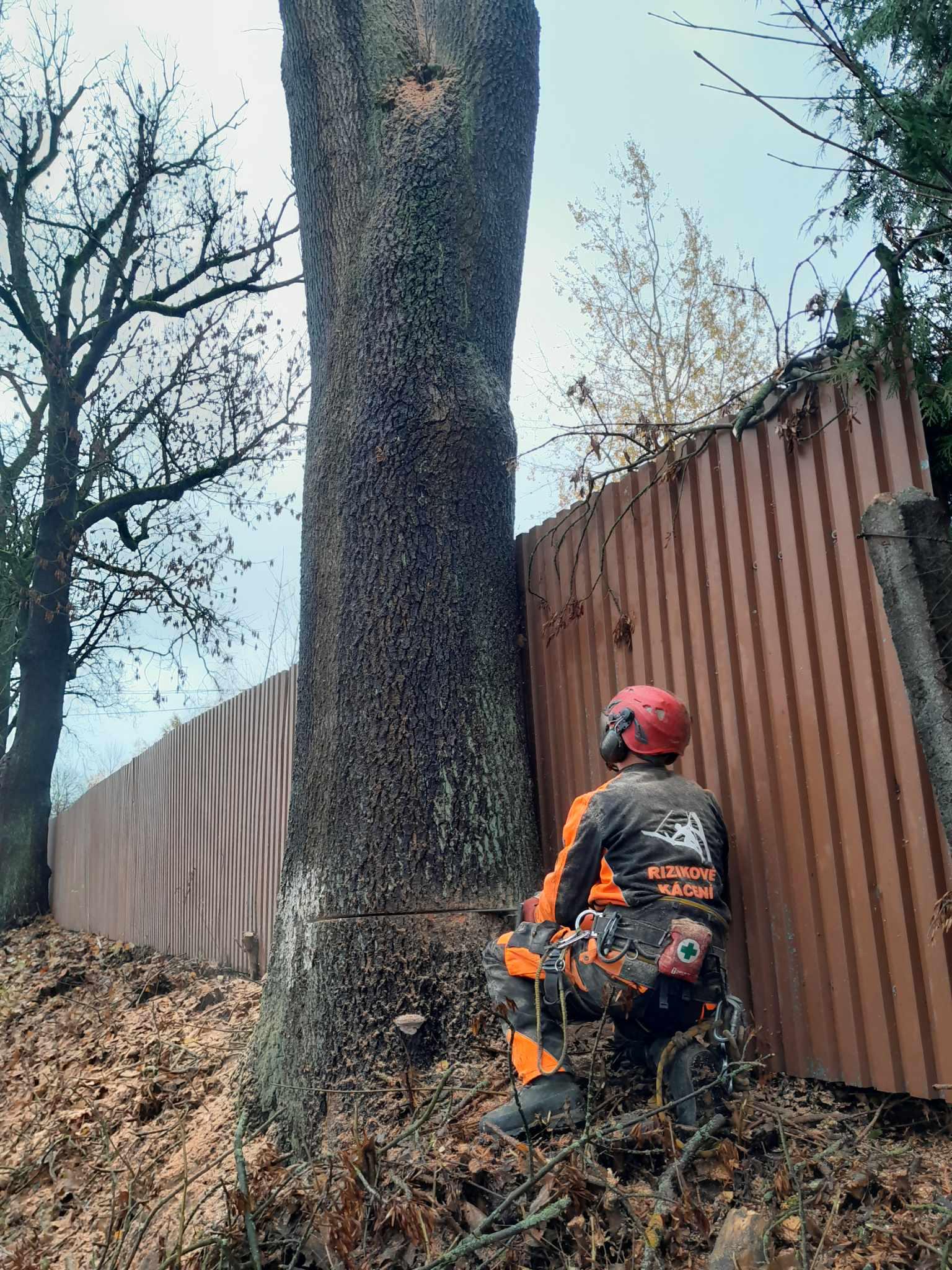 Rizikové kácení Čeřovský foto 5