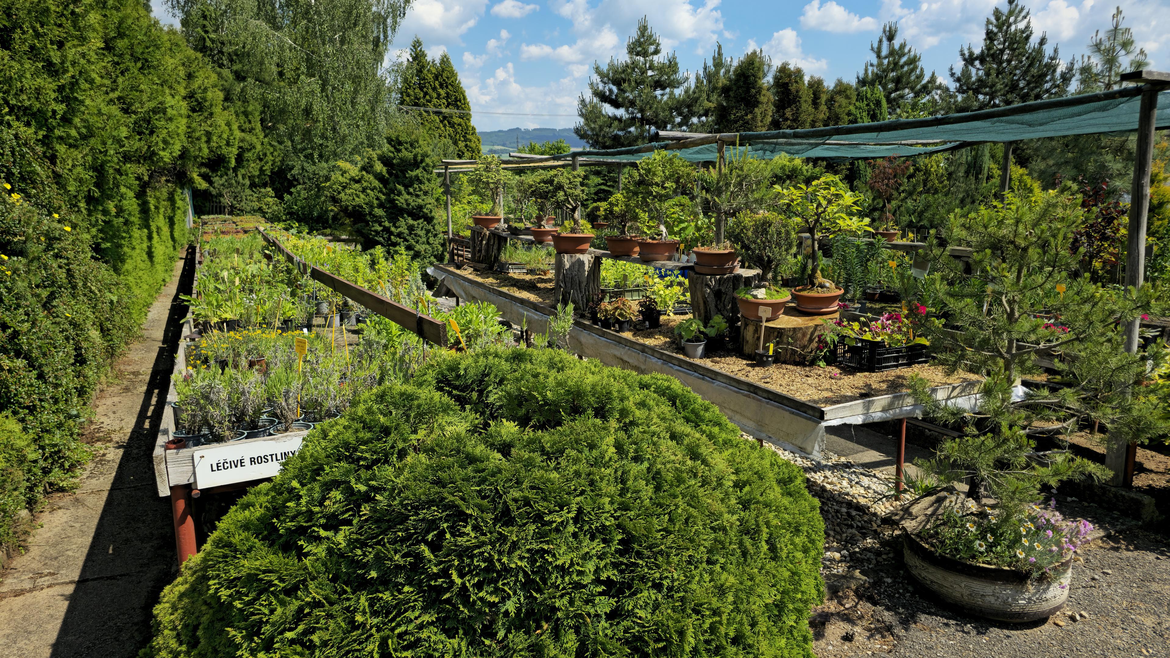 Zahradnictví SAK František Chlup