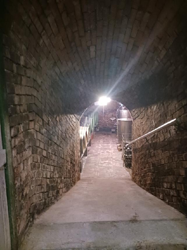 Vinařství Monarcha Ritopeky foto 6