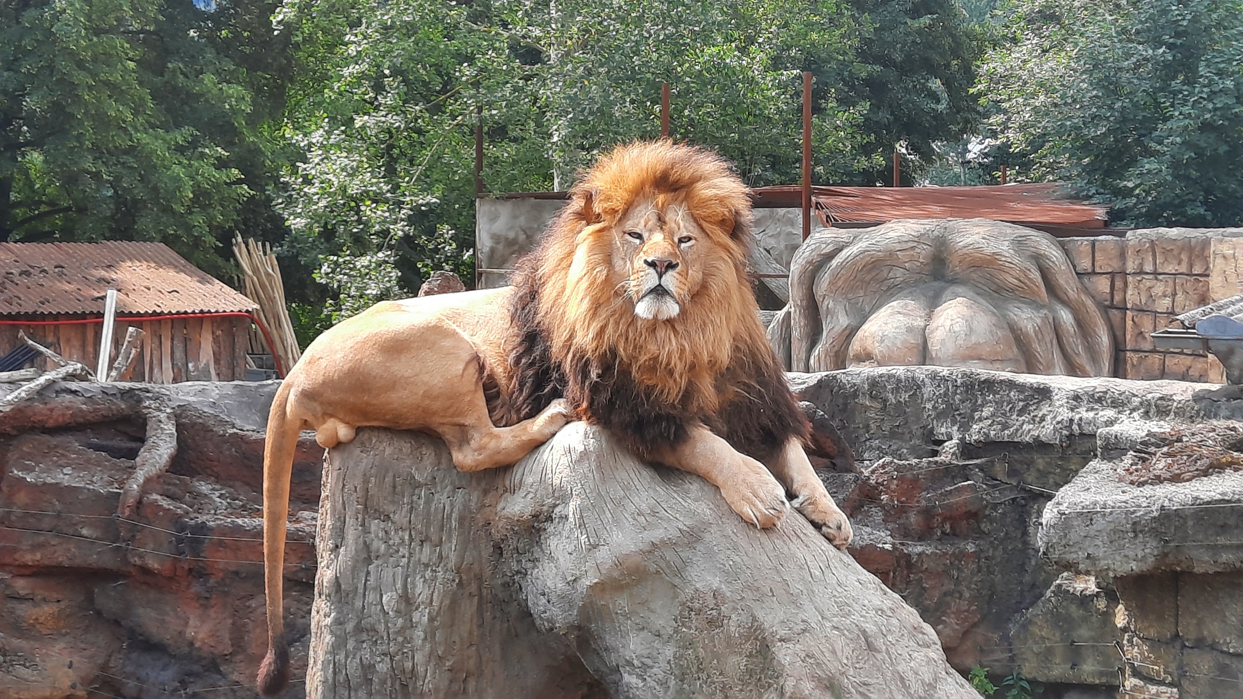 Zoo Plasy foto 3