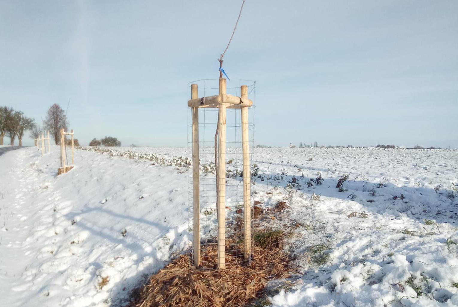 Okrašlovací spolek Jenichov z.s.