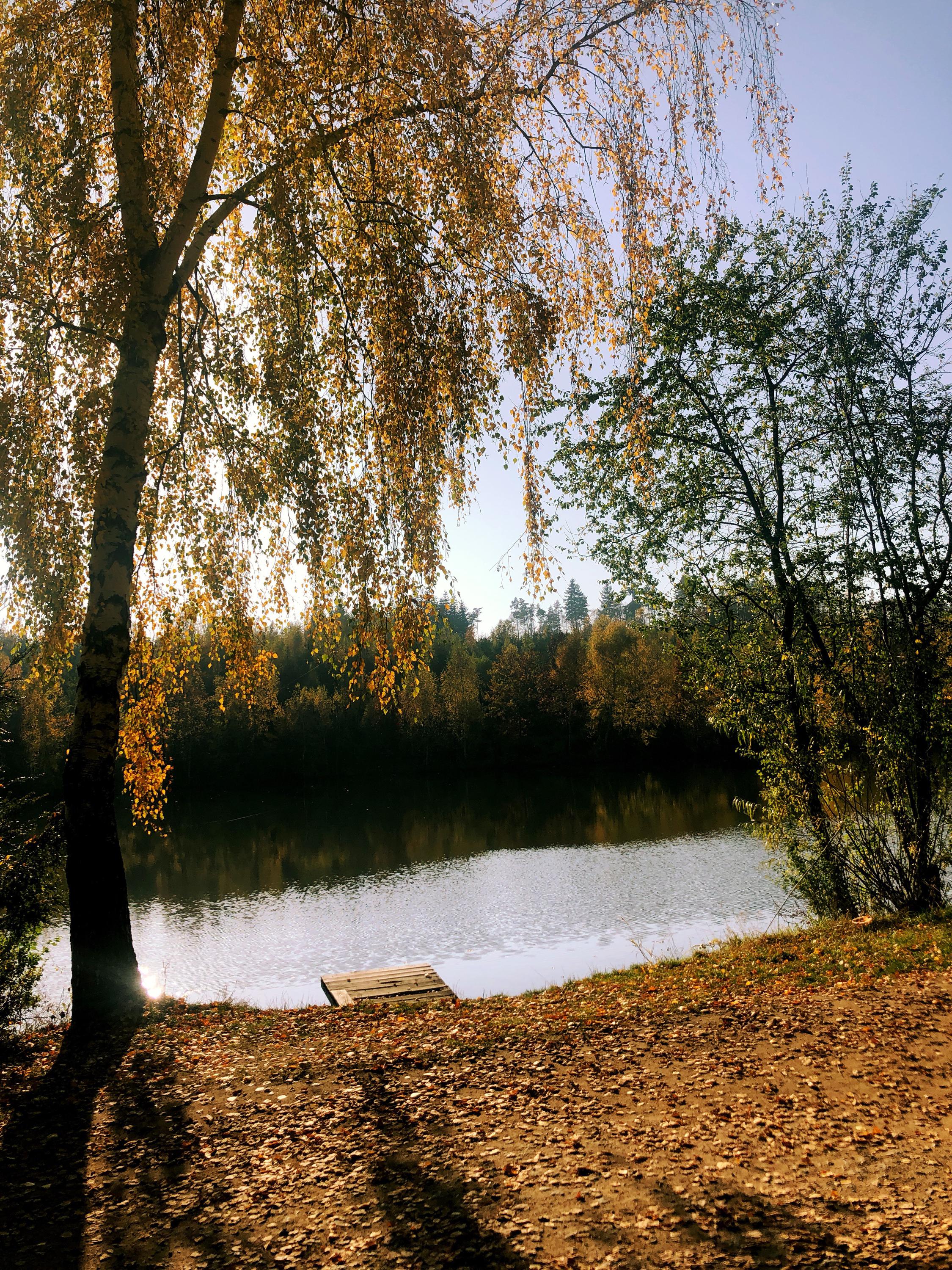 Občerstvení u rybníka foto 2