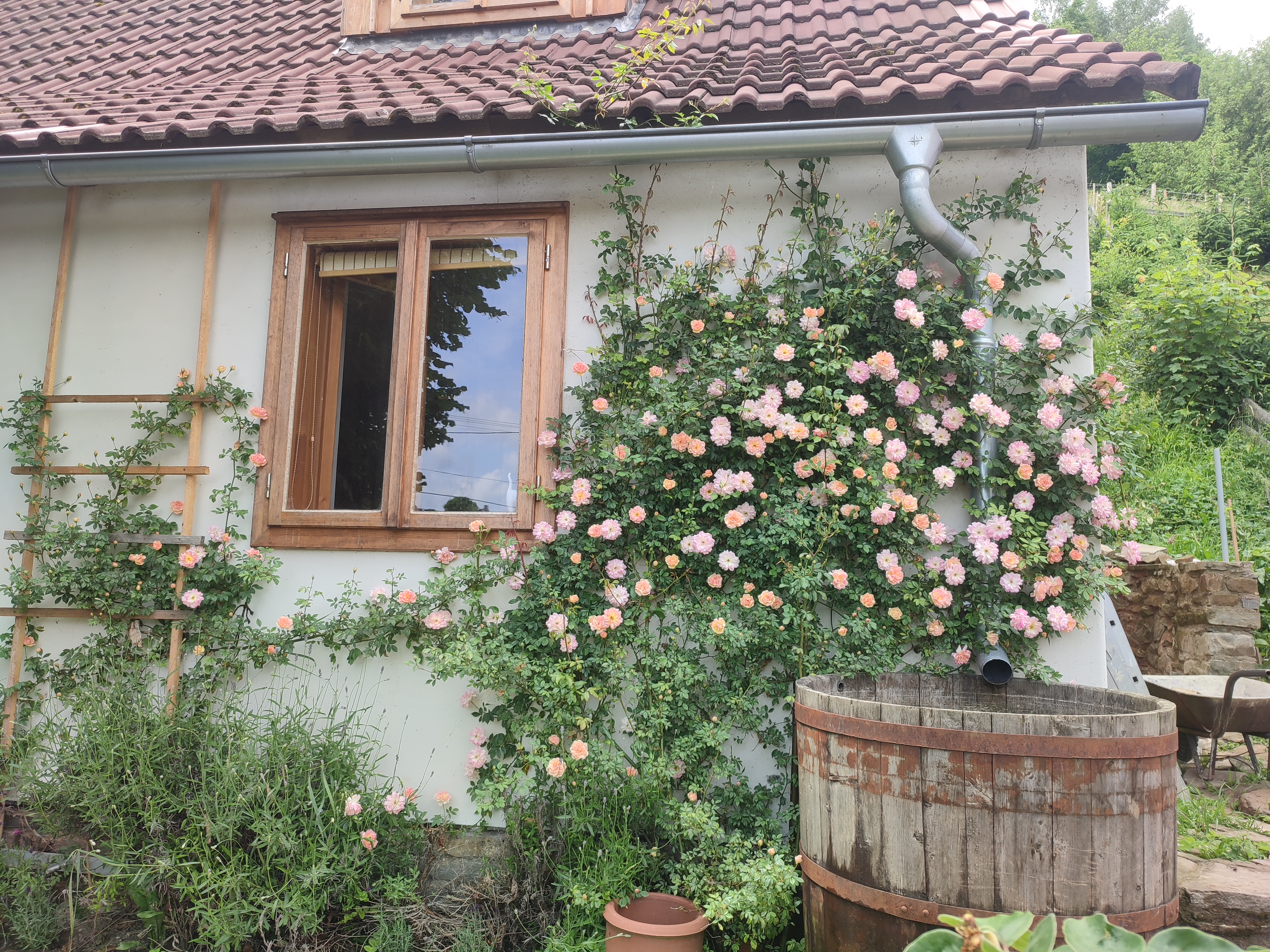 Stodola Svatý Štěpán foto 3