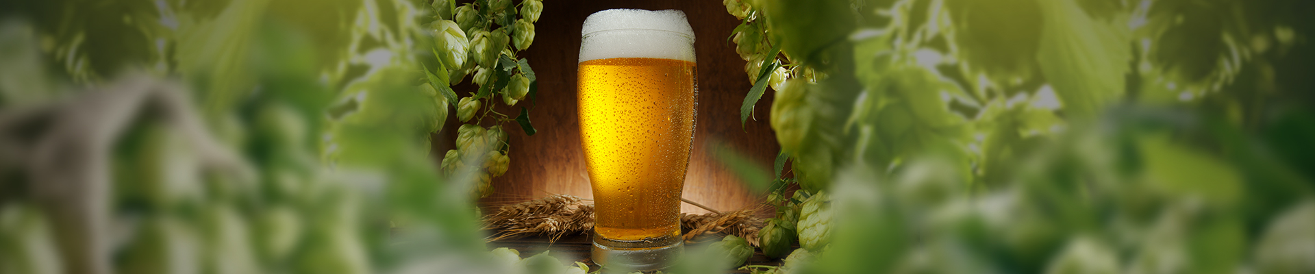 Úvodní obrázek Velkoobchod nápojů Seletická Pila