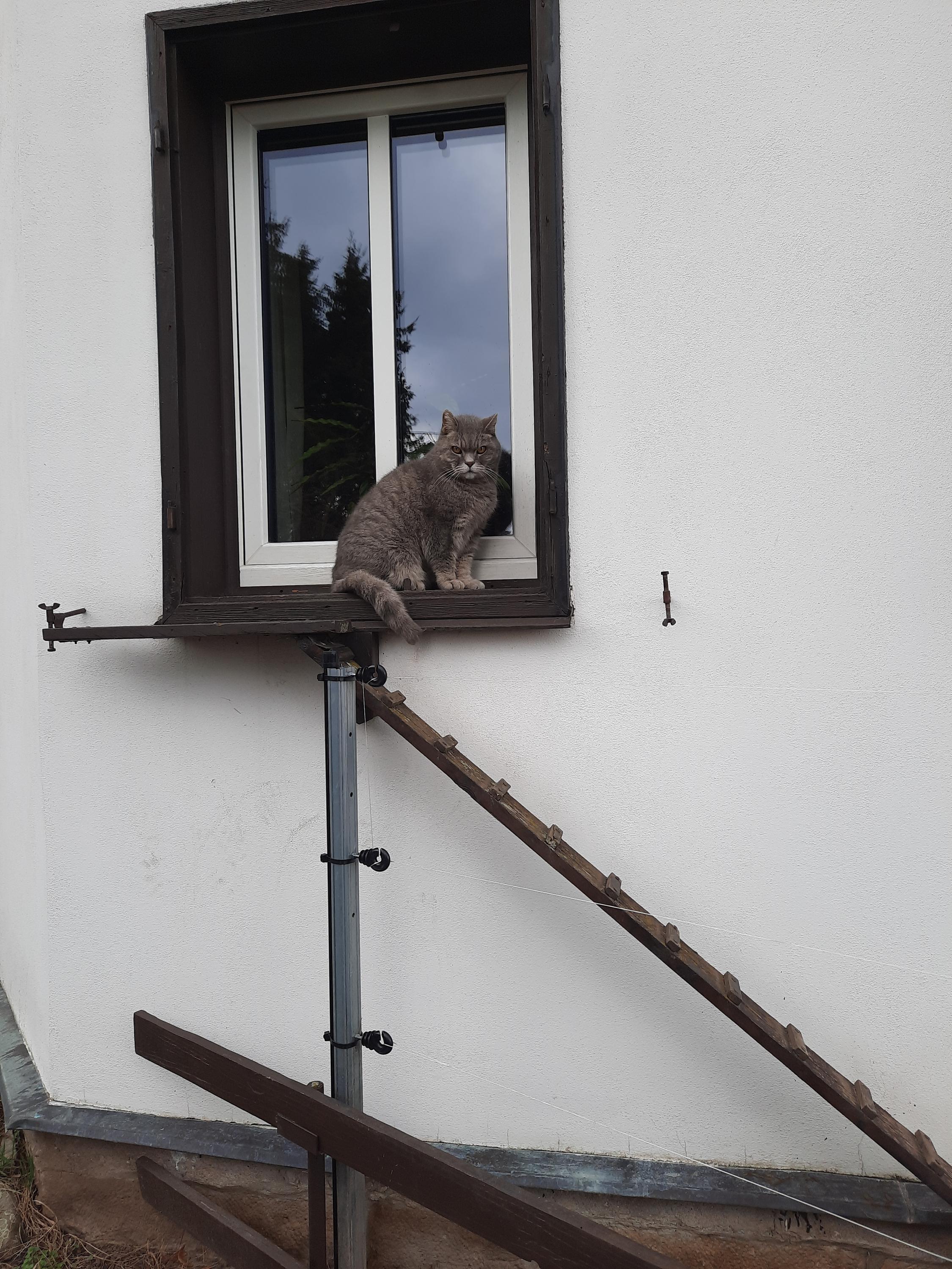 Pension u Härtelů foto 2