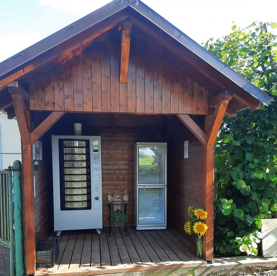 Spokojené kuře - Jaroslav Hruška foto 2