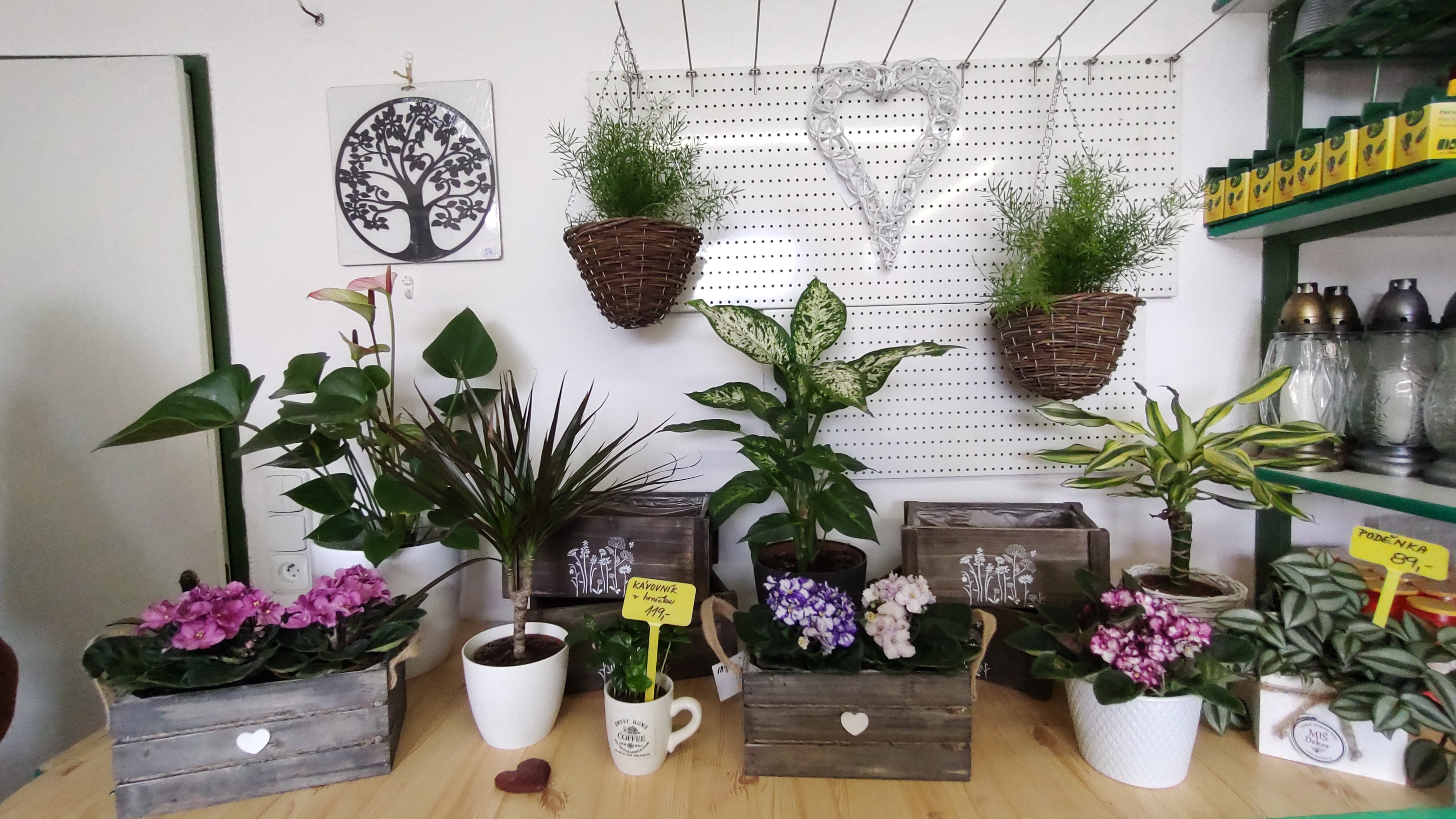 GREENBOSS - zahradní minicentrum foto 5