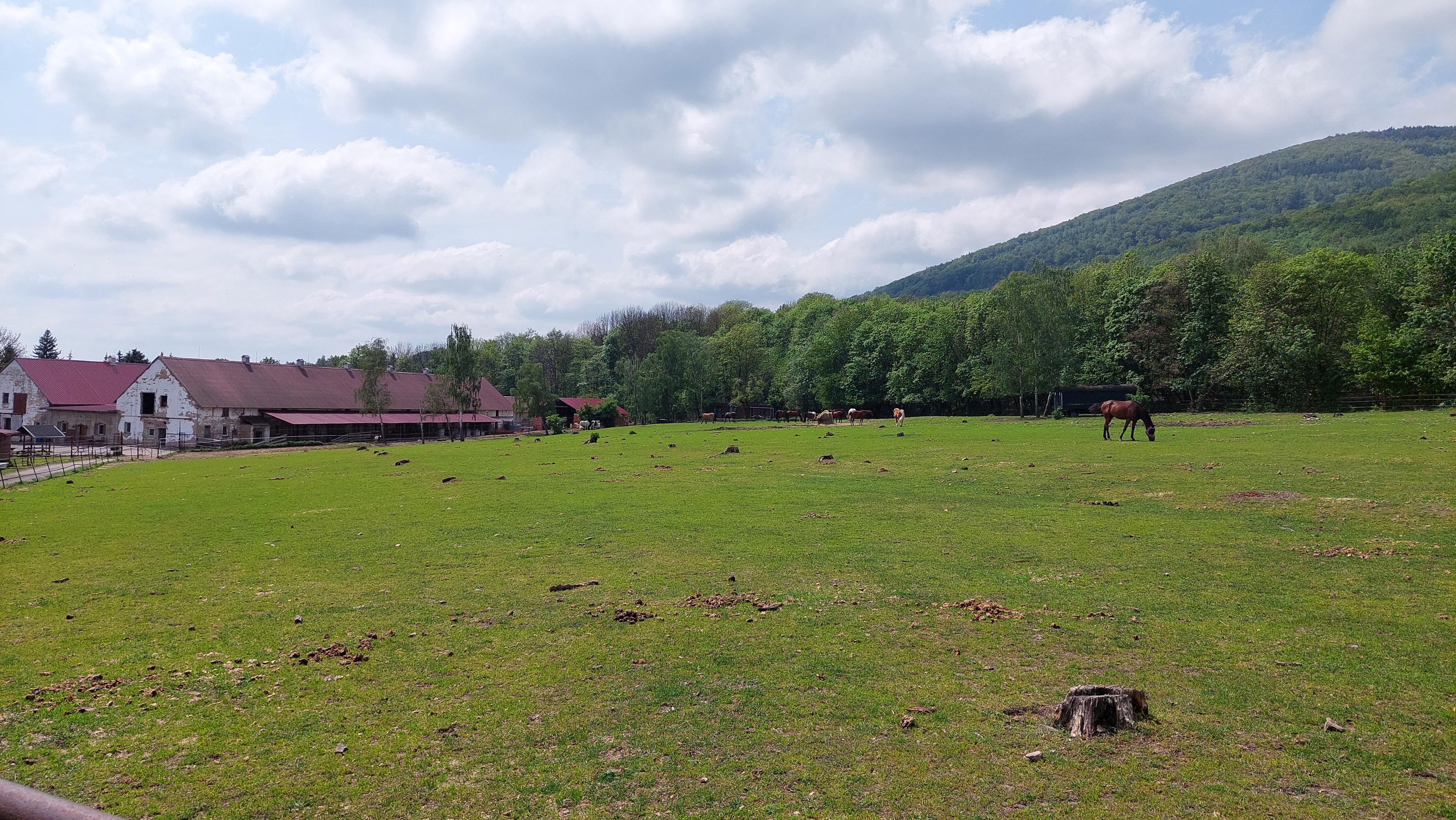 Farma Sedlár foto 5