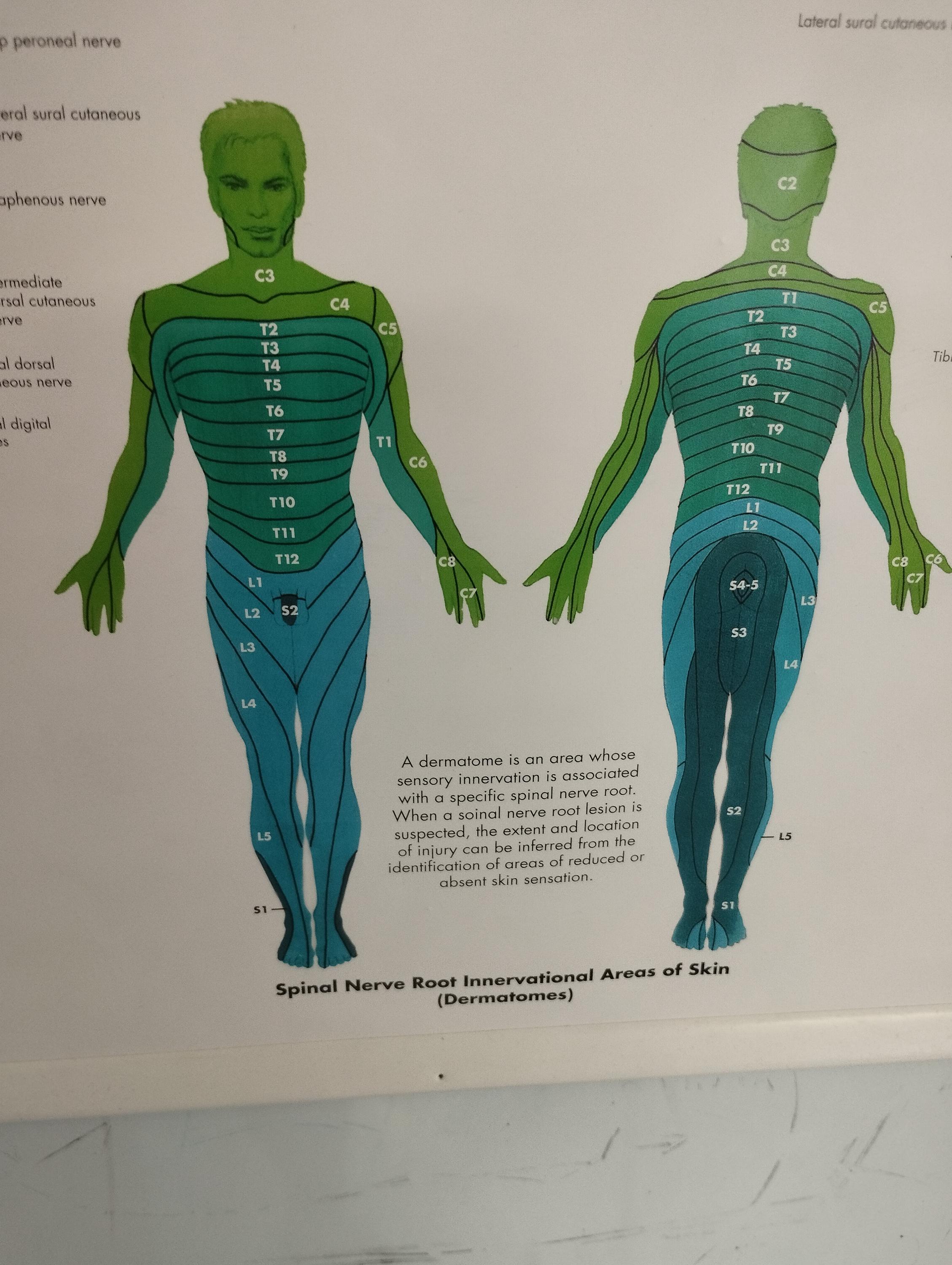 Celotělové masáže - Pavla Pařízková, DiS. foto 3