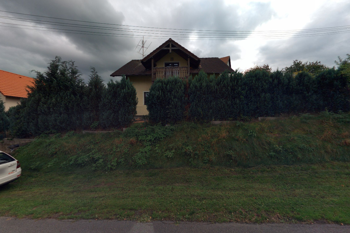 Klub chovatelů rhodéských ridgebacků foto 1