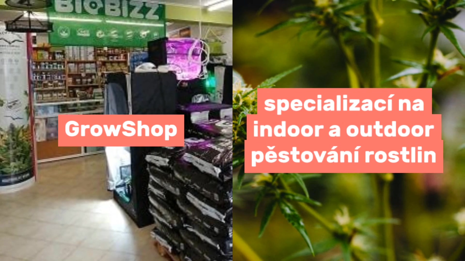 Flore GrowShop foto 2 (náhled videa)