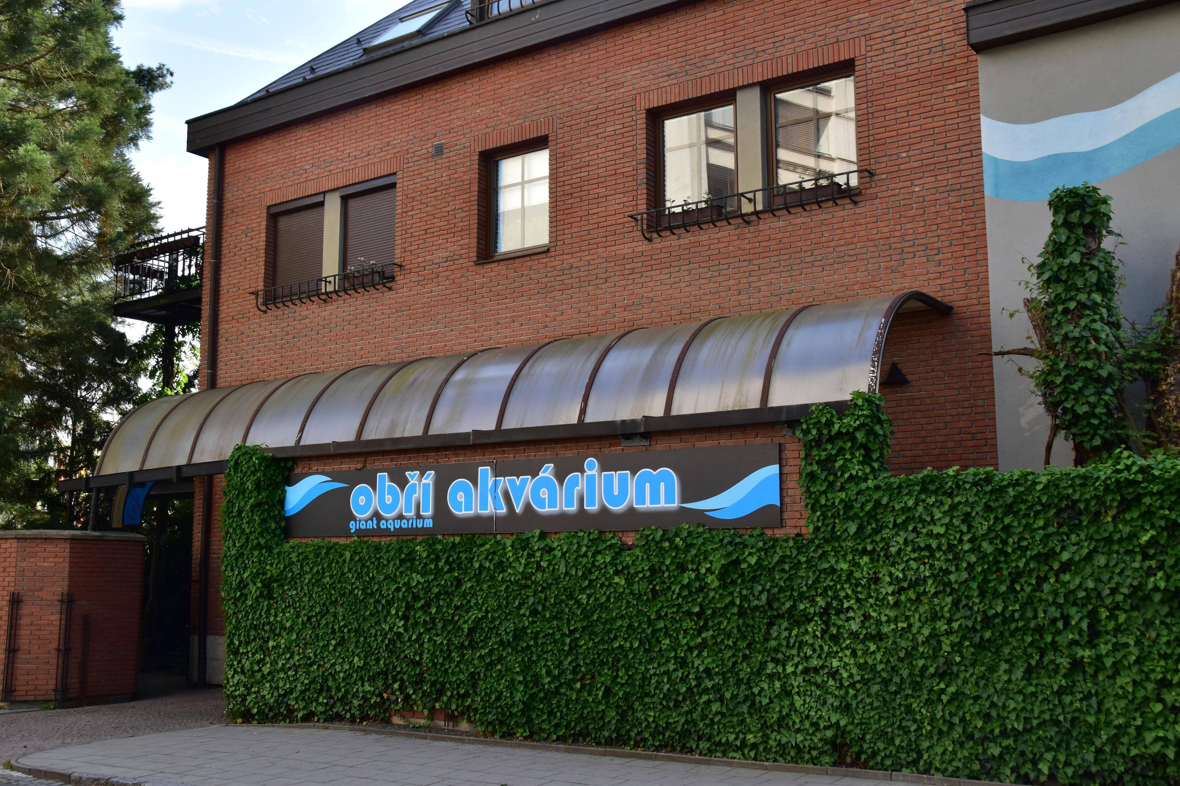 Obří akvárium foto 5