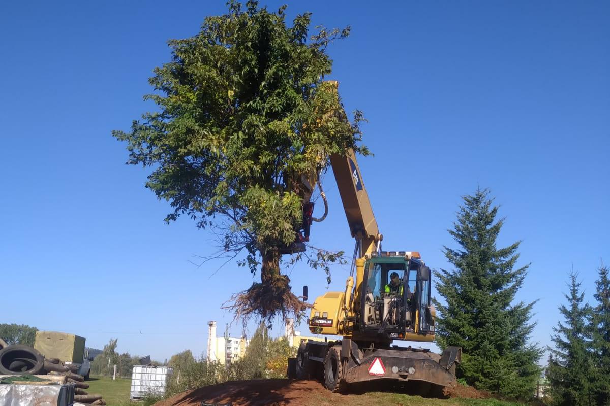 TAMAS - Luboš Plichta