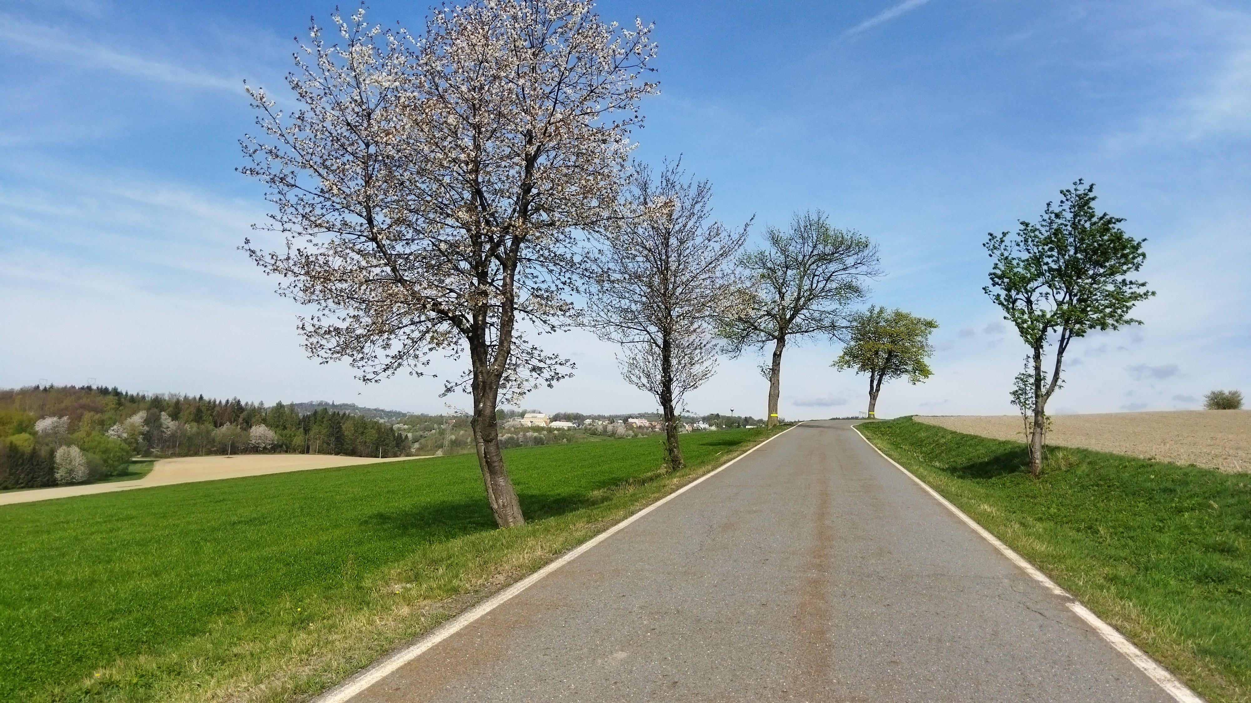 ZŠ a MŠ Horní Město foto 2