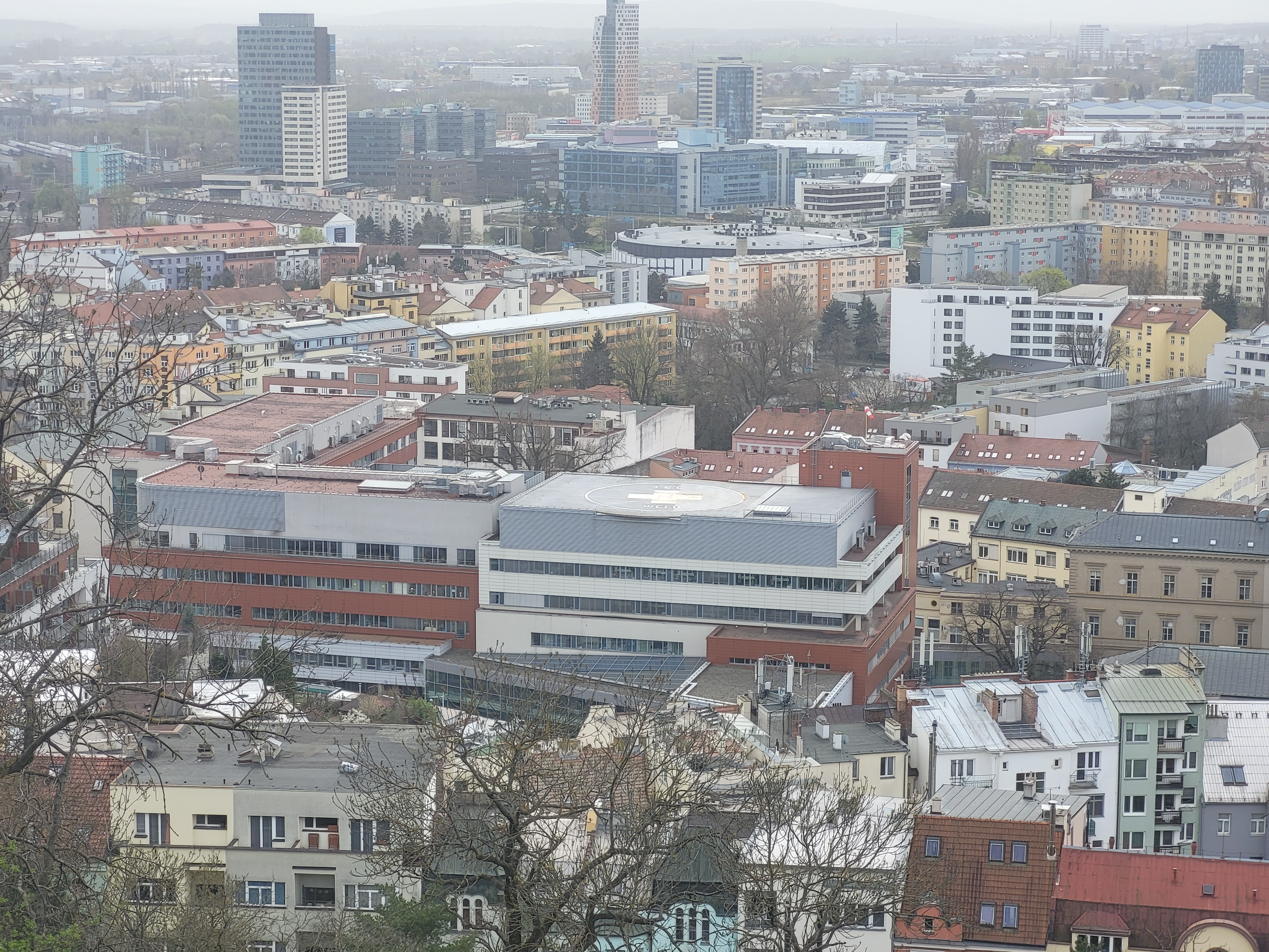 International Clinical Research Center foto 5