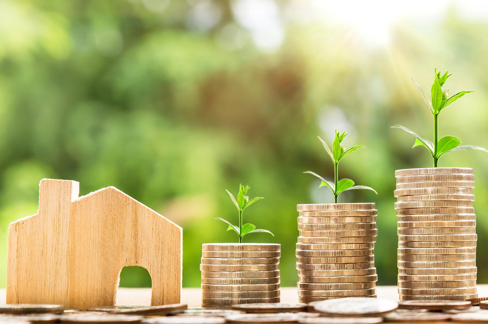 Poradenství NZÚ Light Ing. Michaela Novotná