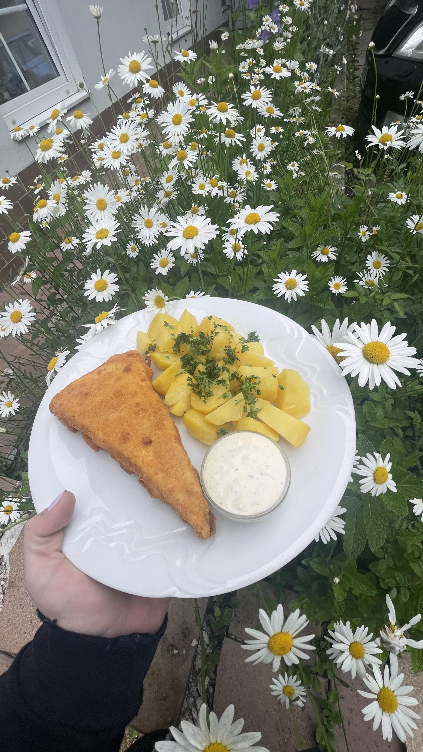 Penzion Troníček foto 6