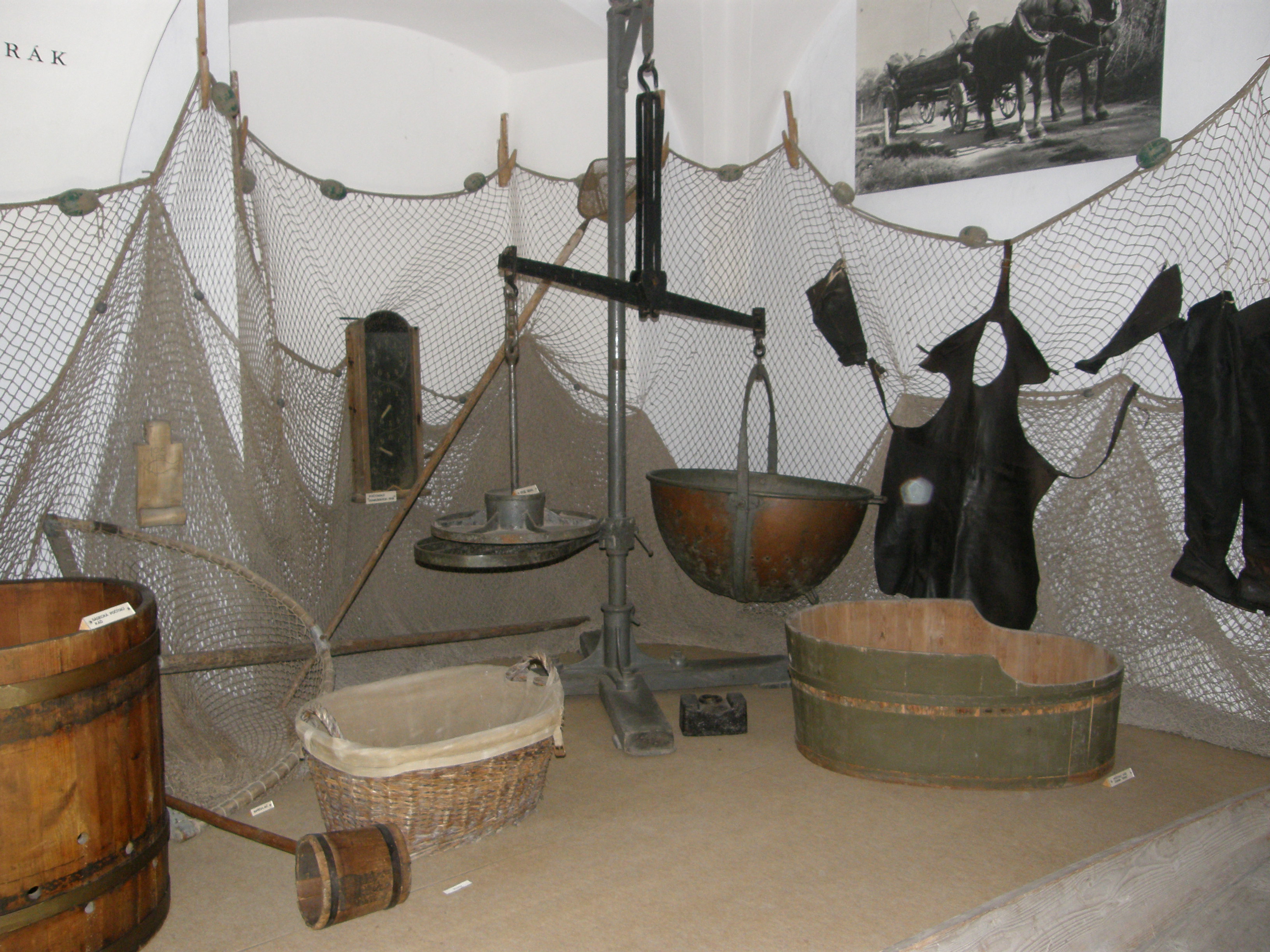 NZM Ohrada - Muzeum lesnictví, myslivosti a rybářství foto 6