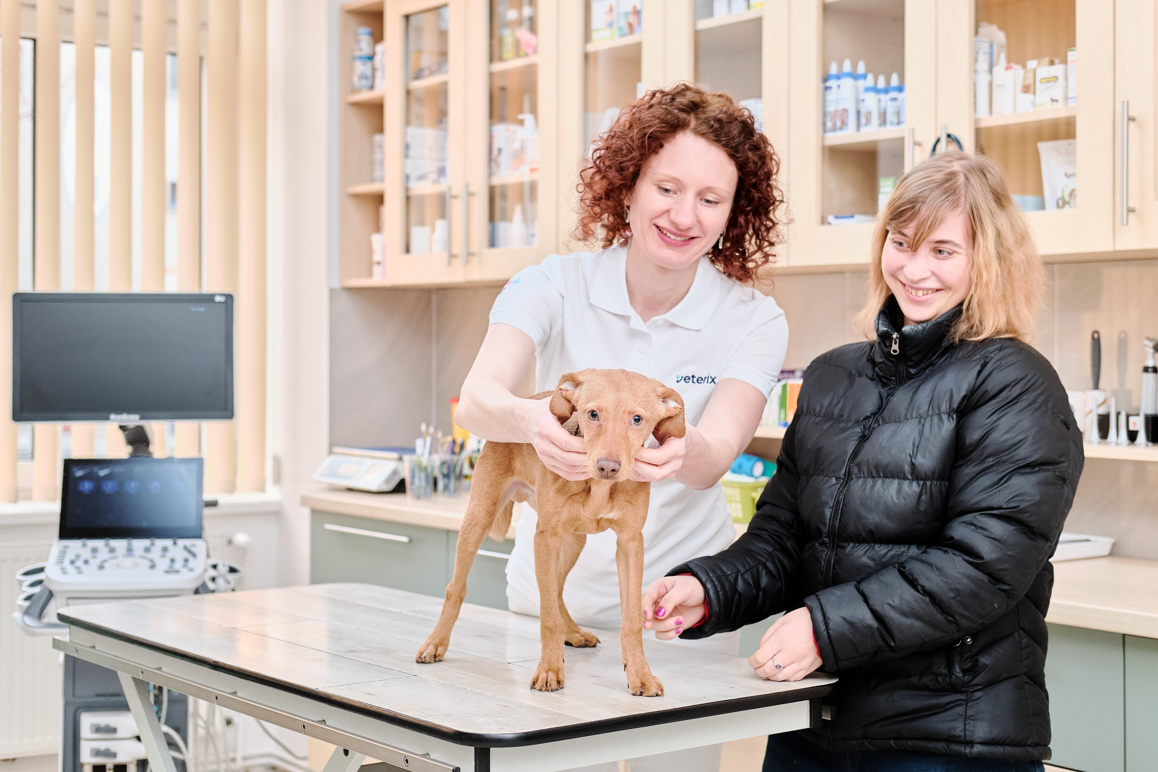 Veterinární klinika VETERIX foto 5