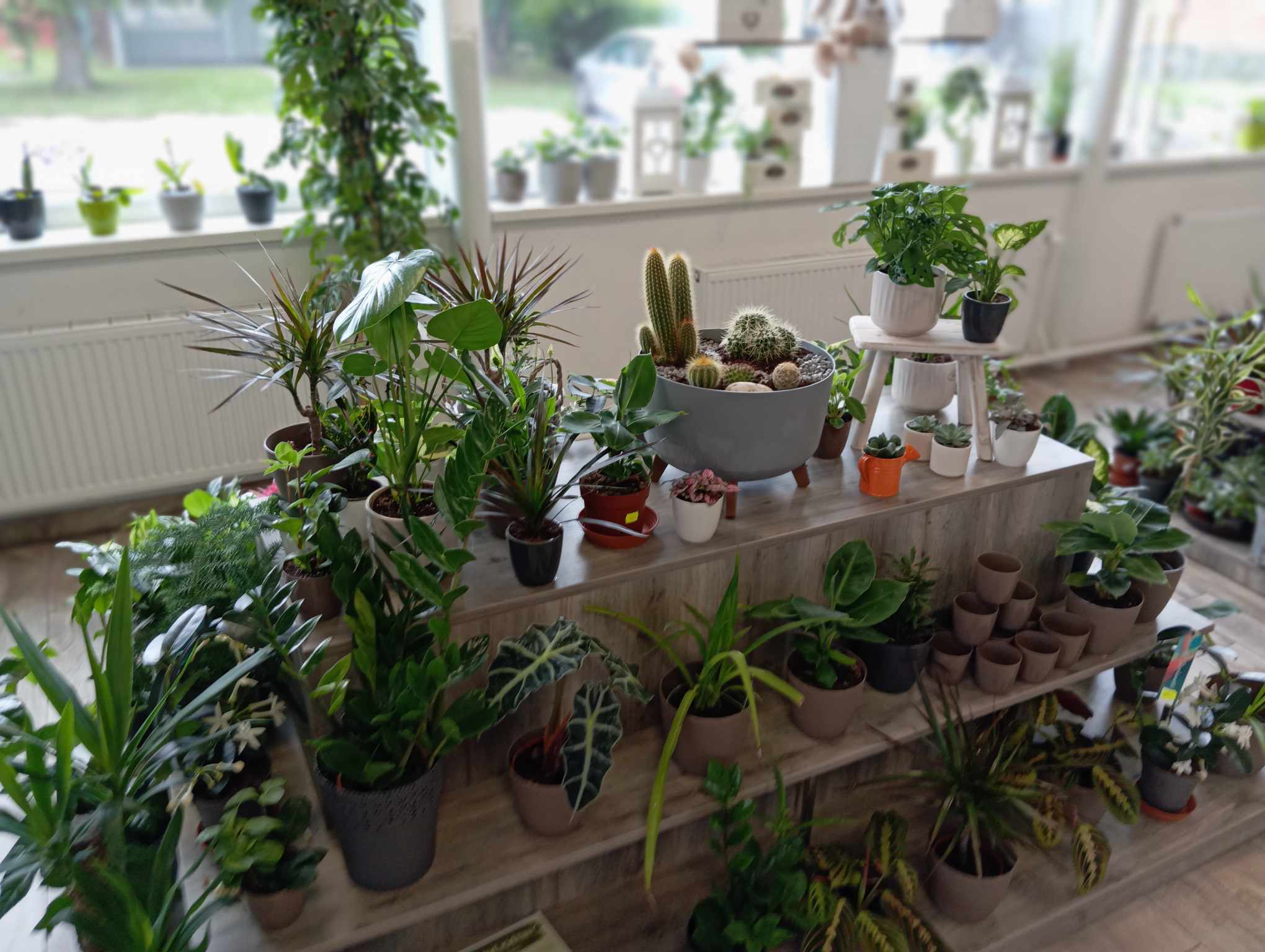 Květinářství U Hušků foto 3