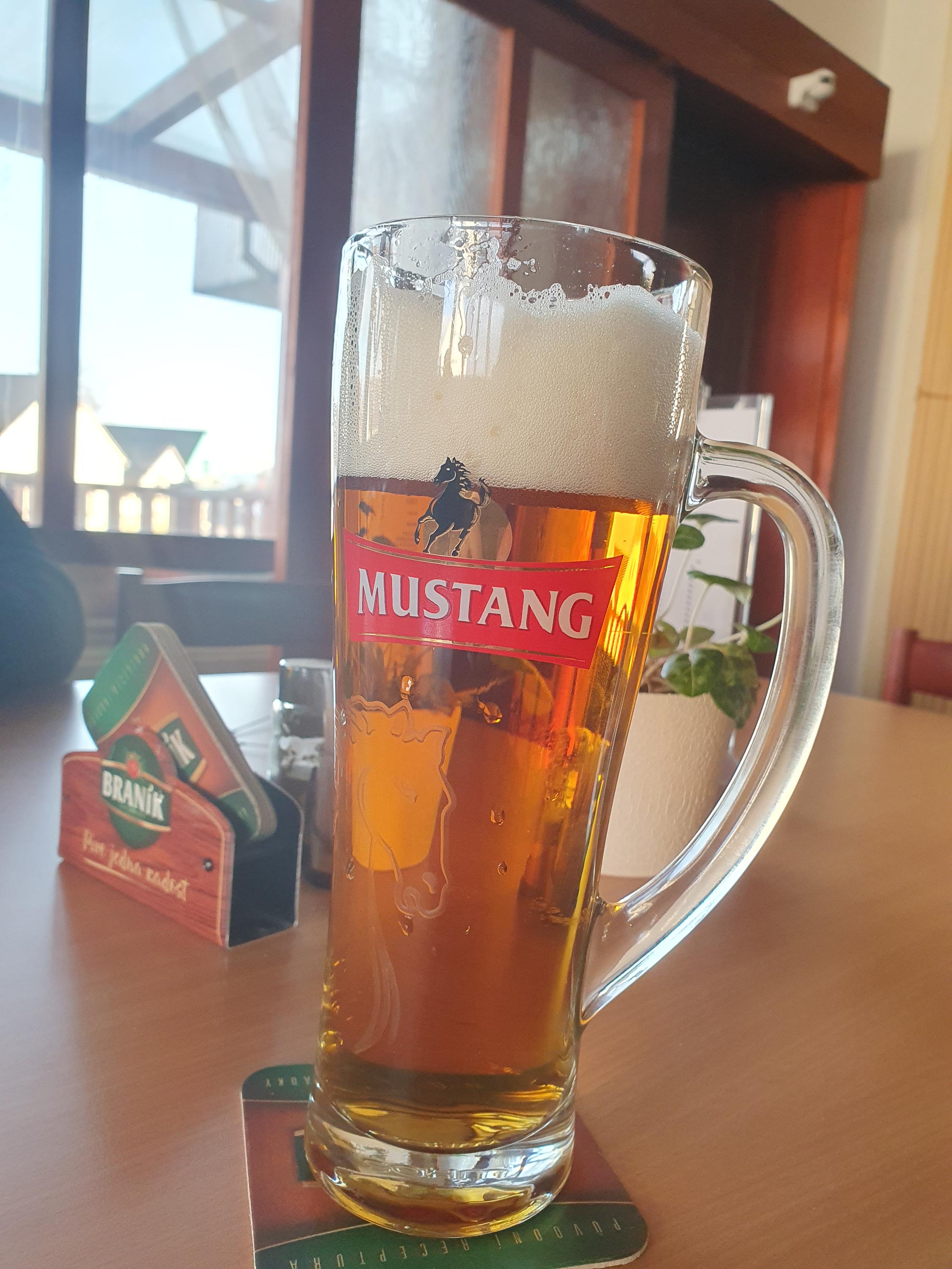 Restaurace Bílý dům foto 3