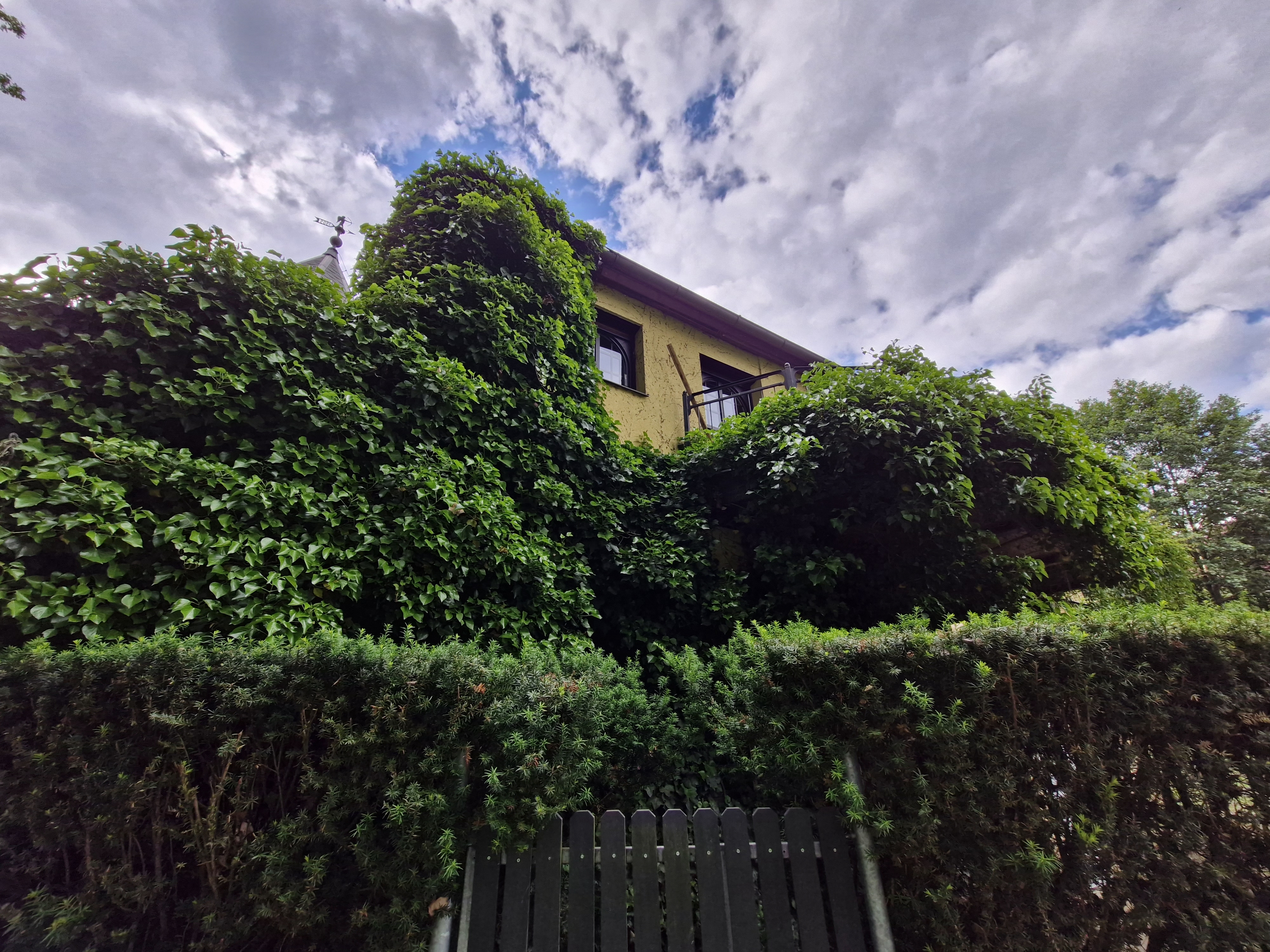 Restaurace Rybářská bašta foto 6