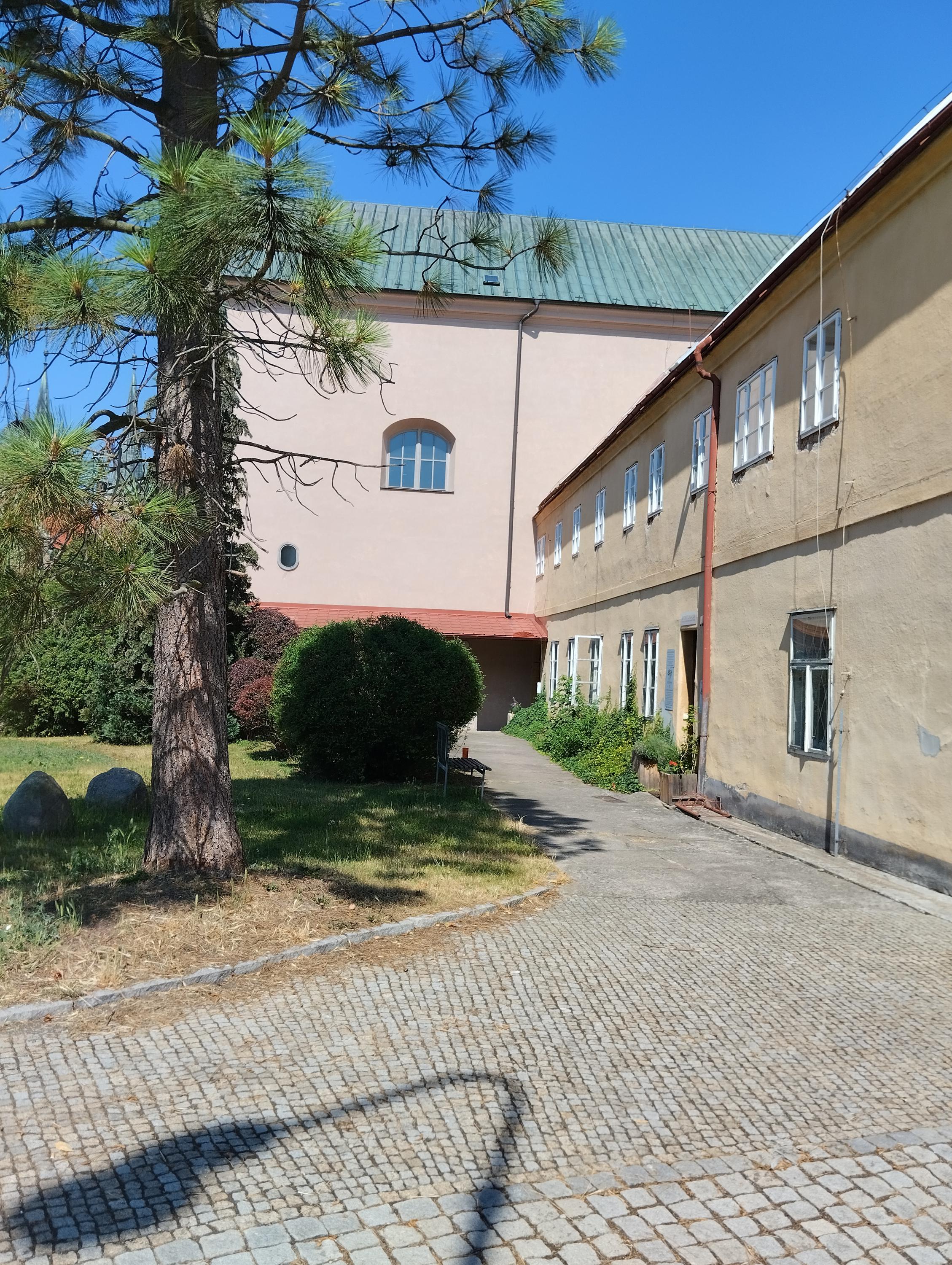 AFORTUNADA, studio celostního rozvoje foto 5