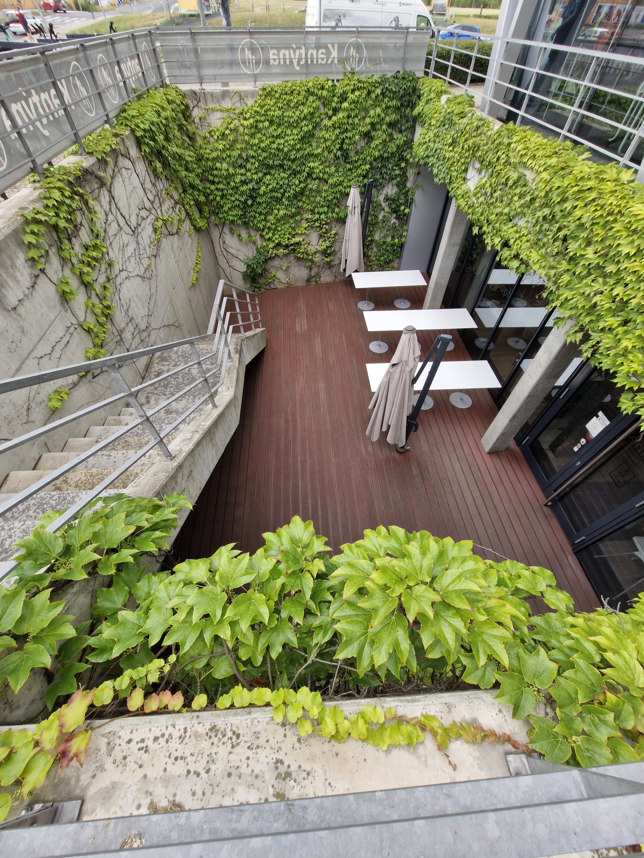 Green factory - salad your life foto 2